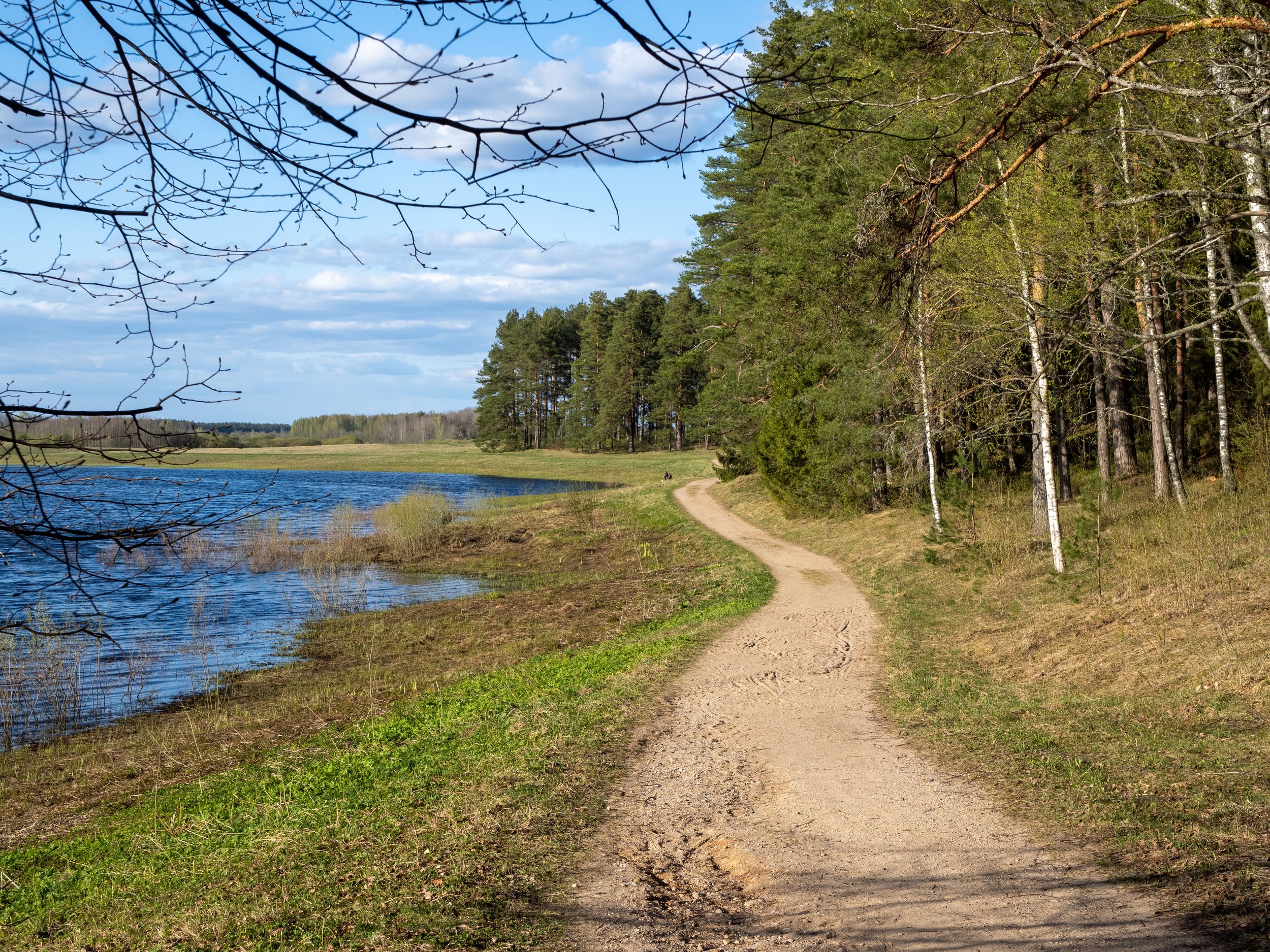 Mental Health Benefits of Nature