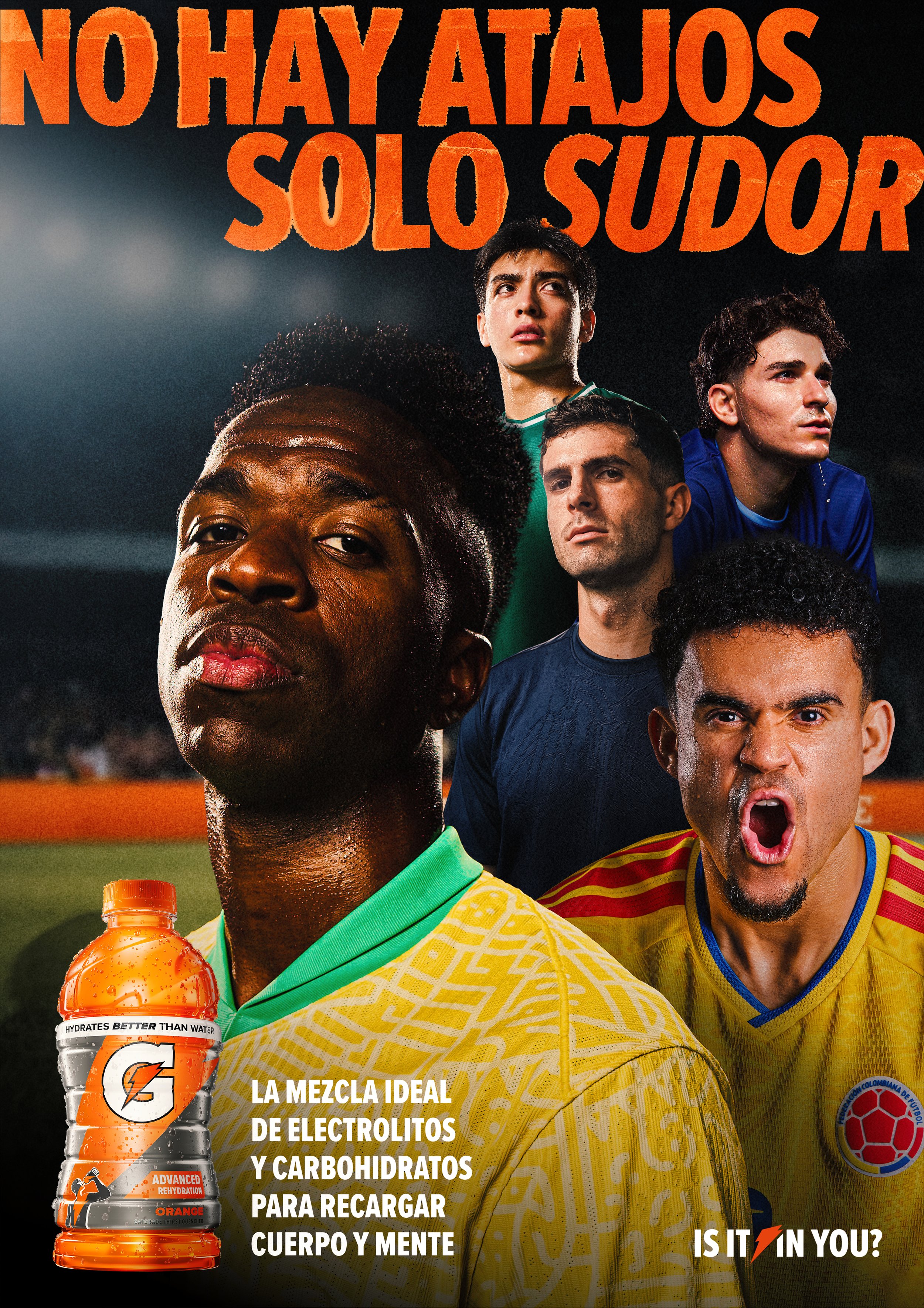 Vini_posters-Final-Group (under 20mb).jpg