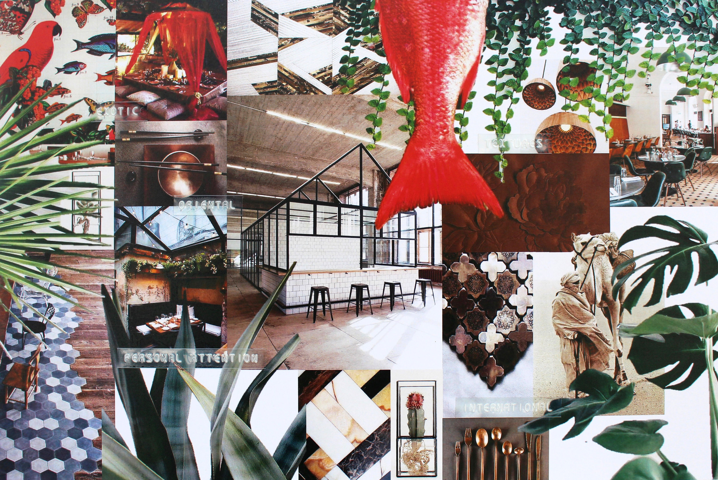 IMG_2443 copy kopie.jpg