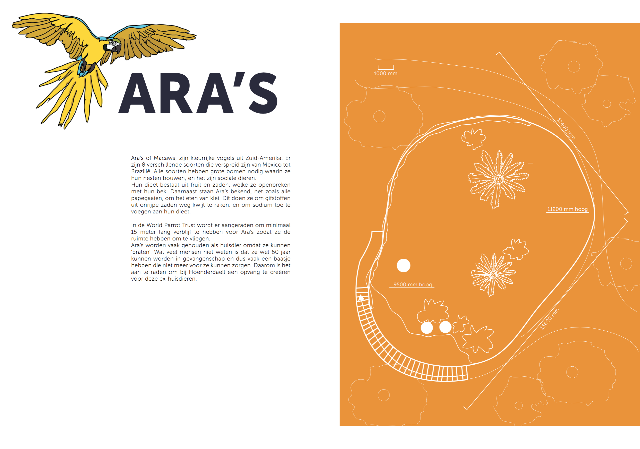 Schermafbeelding 2019-02-05 om 14.02.01.png
