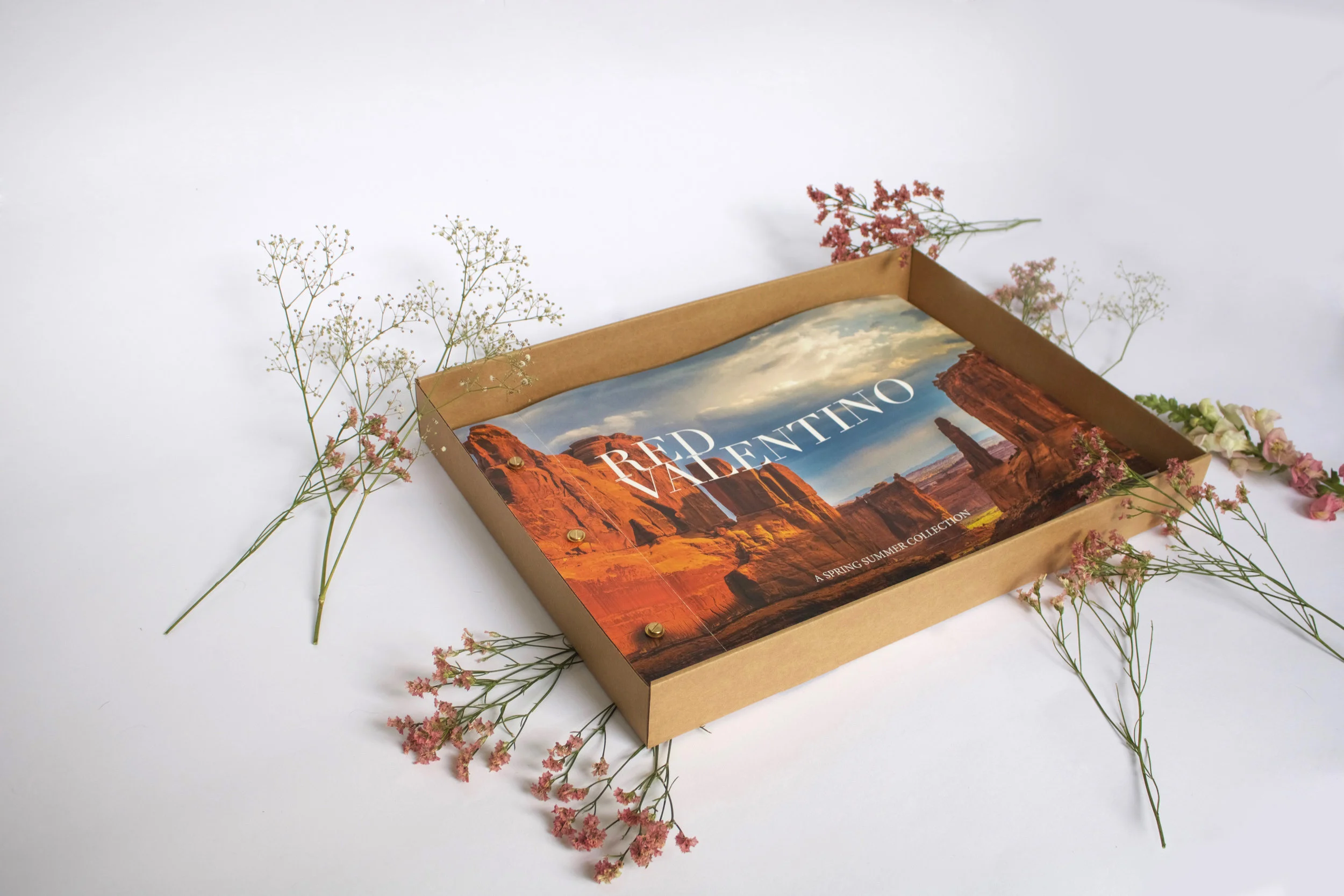 redvalentino 2 kopie.jpg