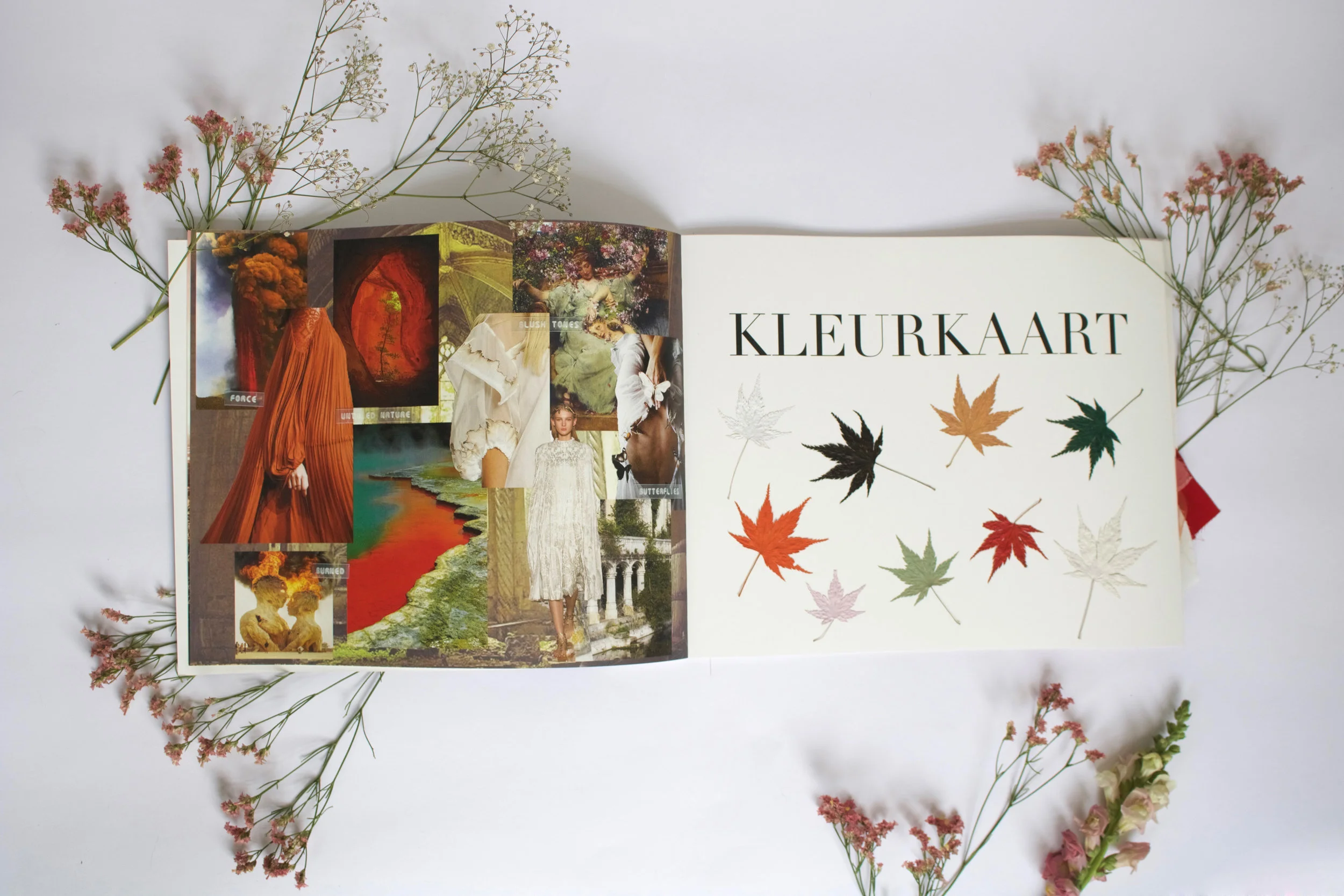 redvalentino3 kopie.jpg