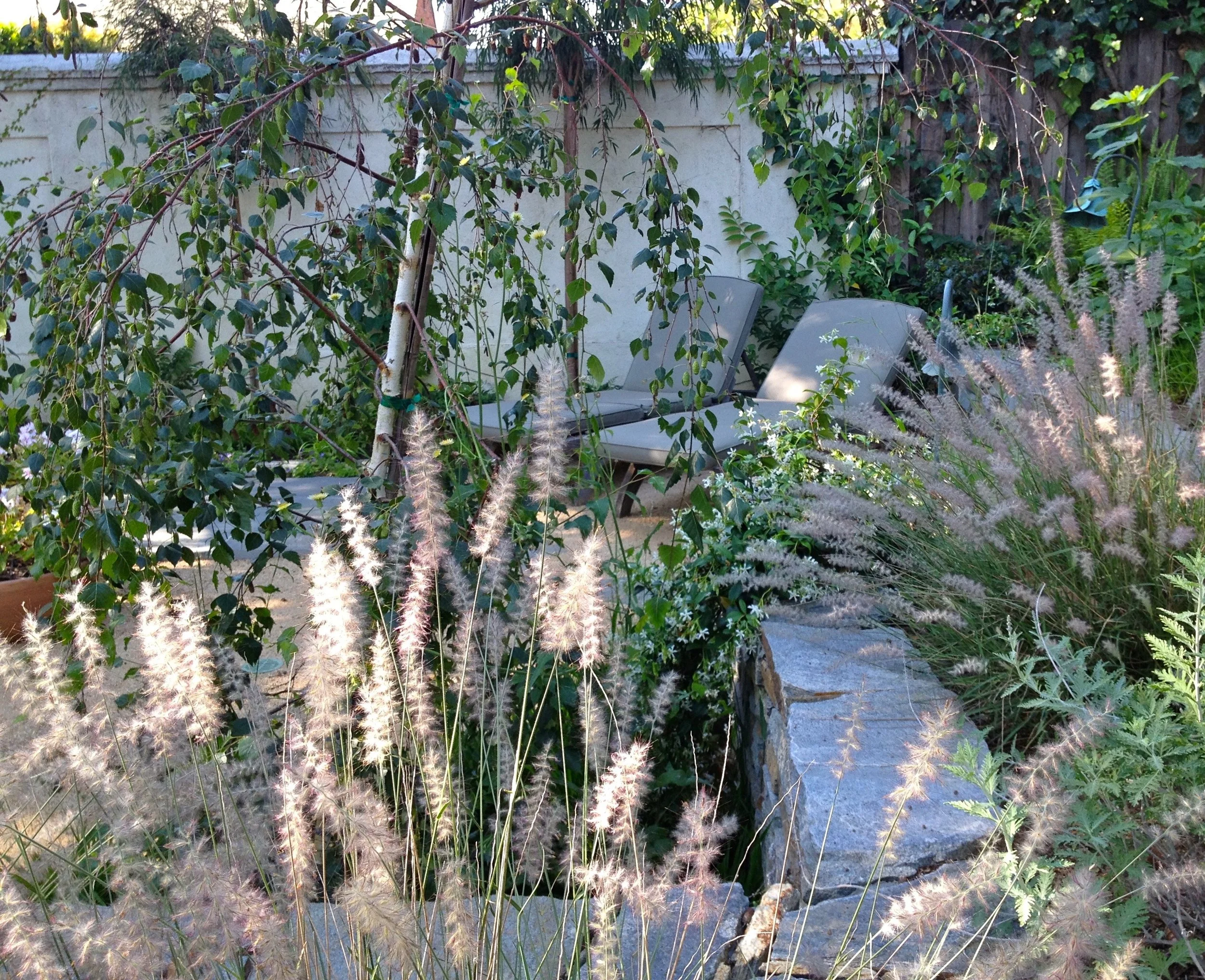 DEAN MEADOW 4.jpg
