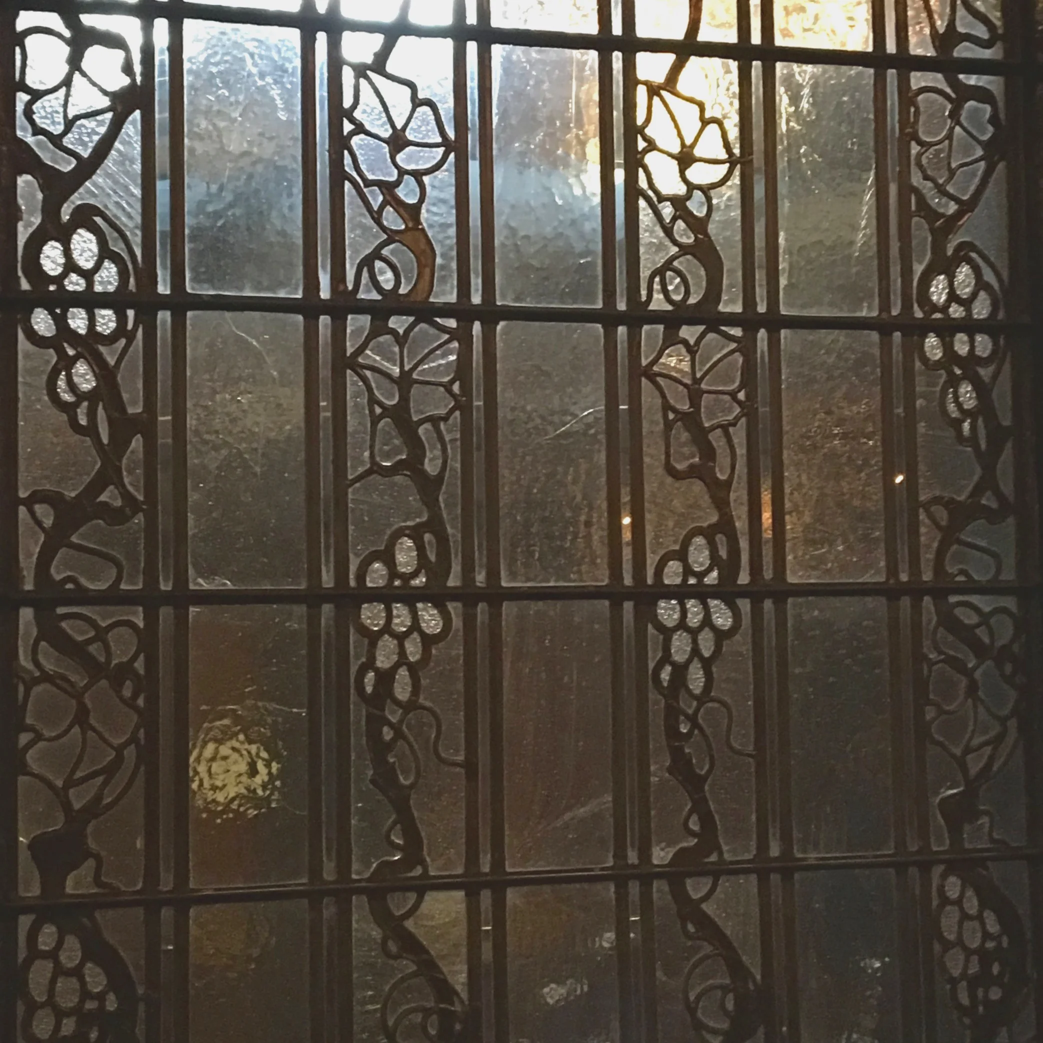 Shaw Light Screen