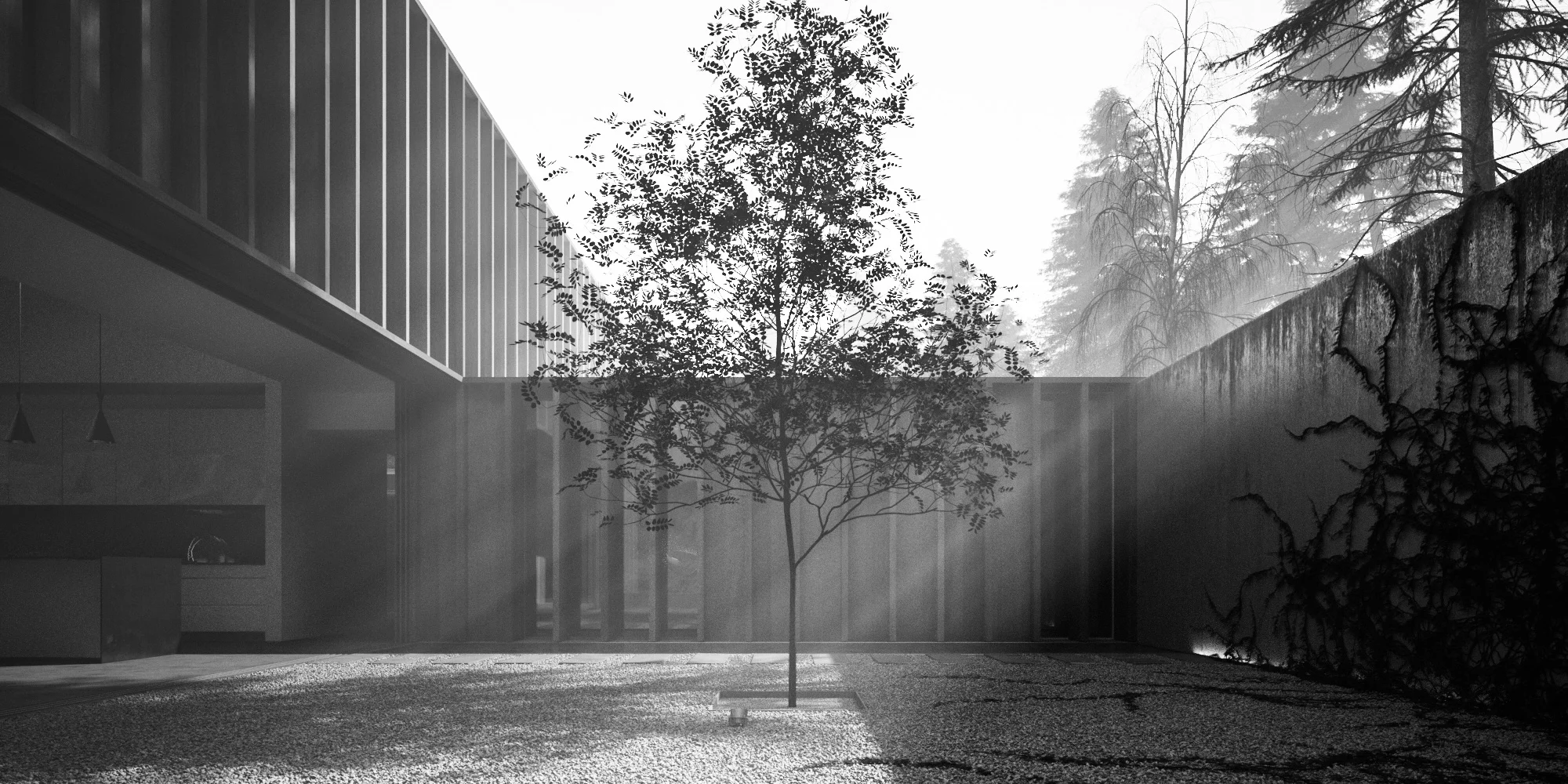 RENDER WITH FOG 01-2.jpg
