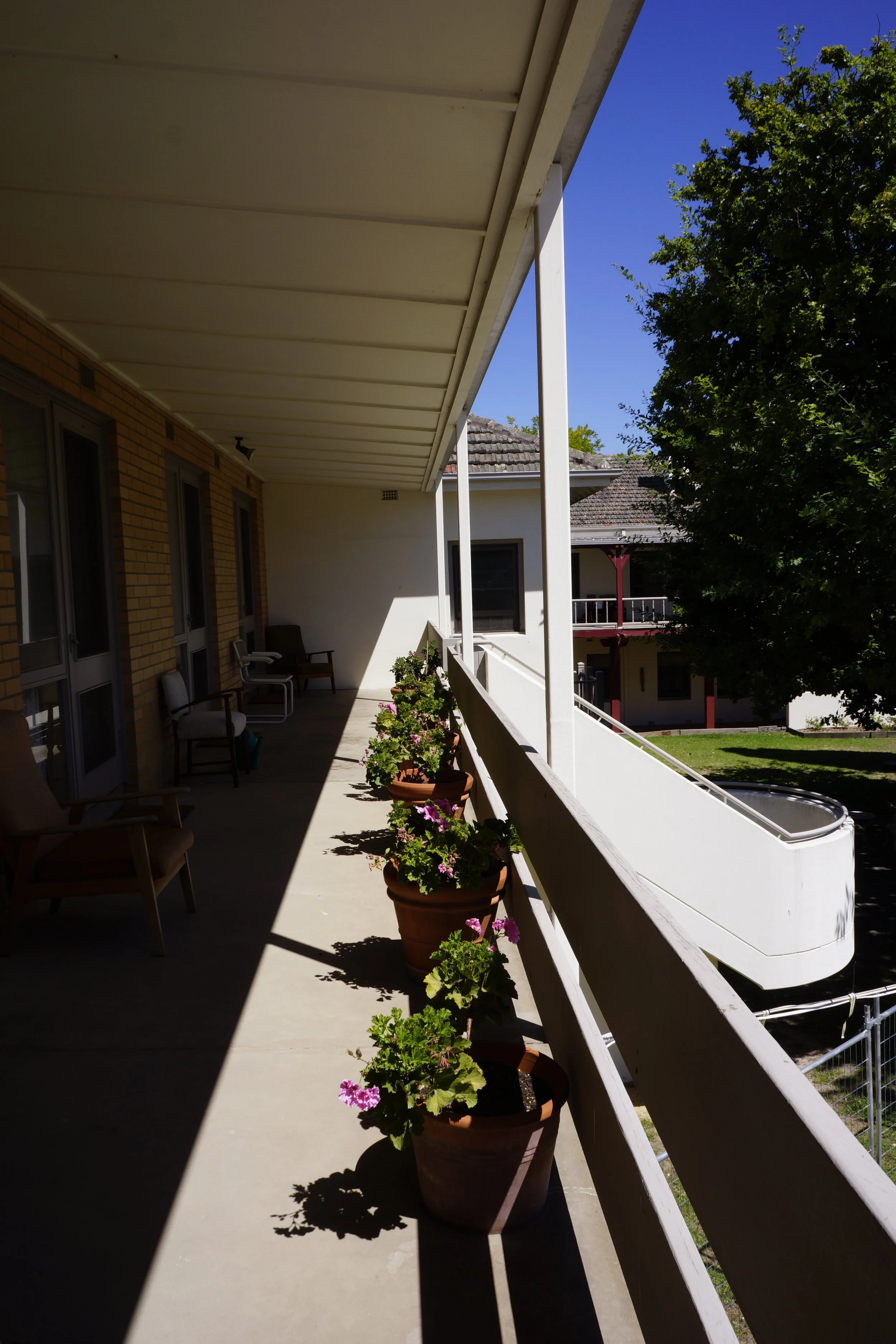 _DSC8039.JPG