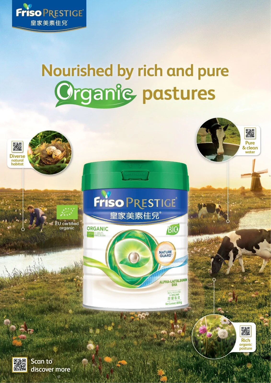 Friso Tone and Manner 2.jpeg