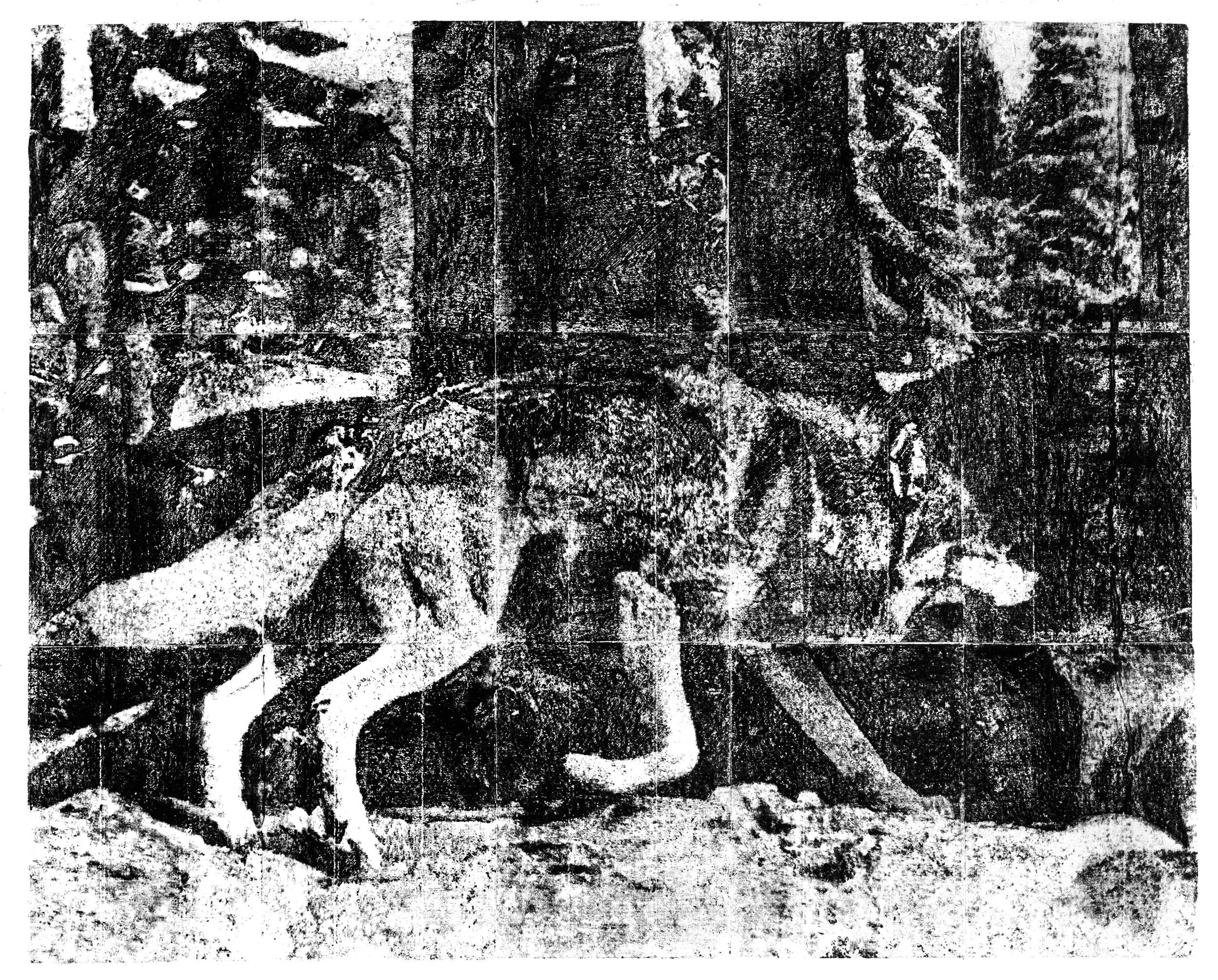  Wolf  Cold Wax Laser Print Transfer  32” x 40” 