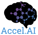 Accel.AI