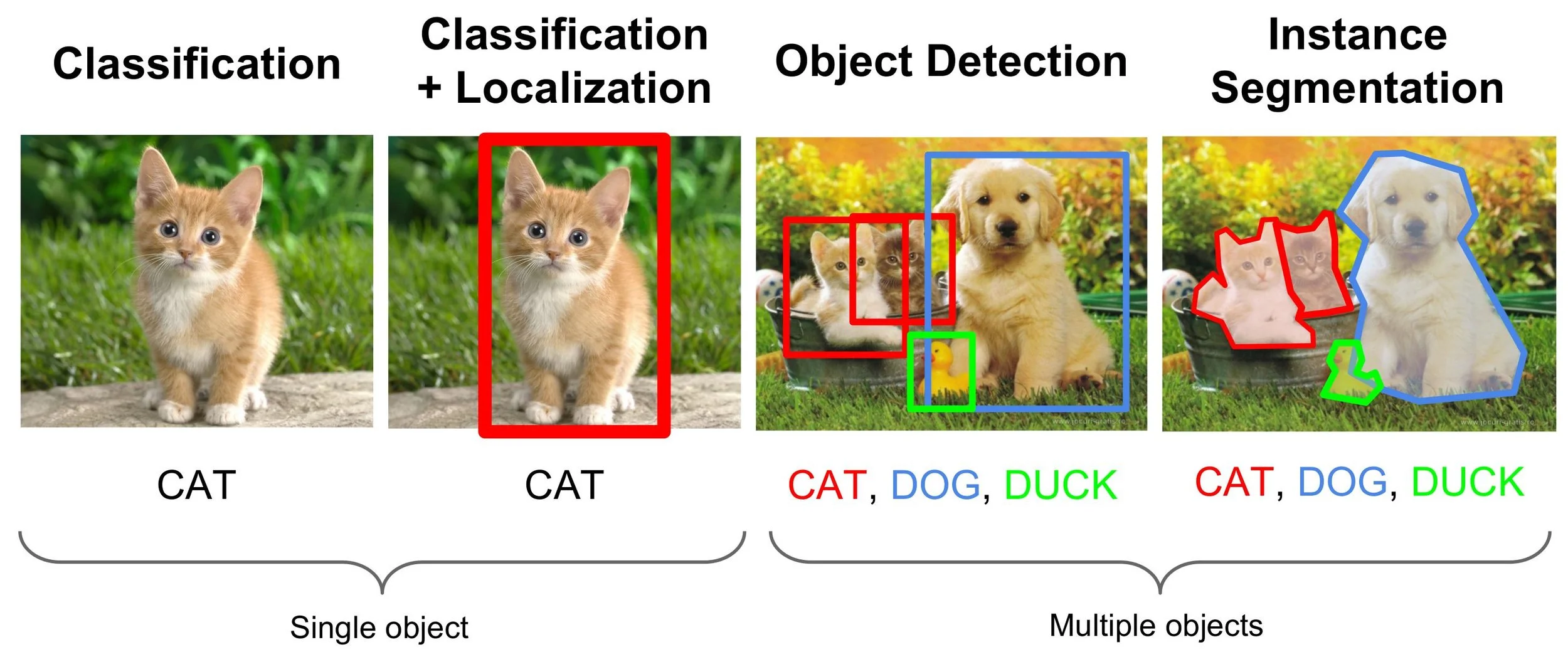 image-classification.jpg