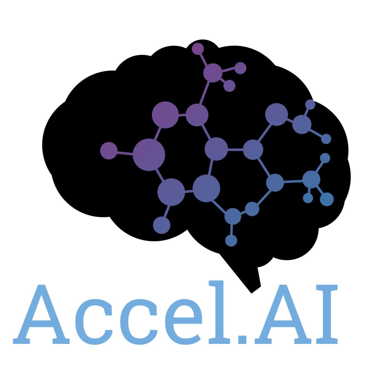 Accel.AI
