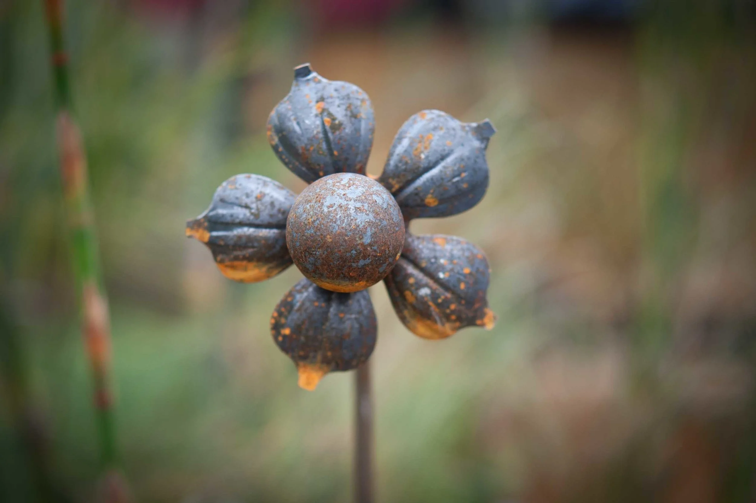 plant-8021-2.jpg