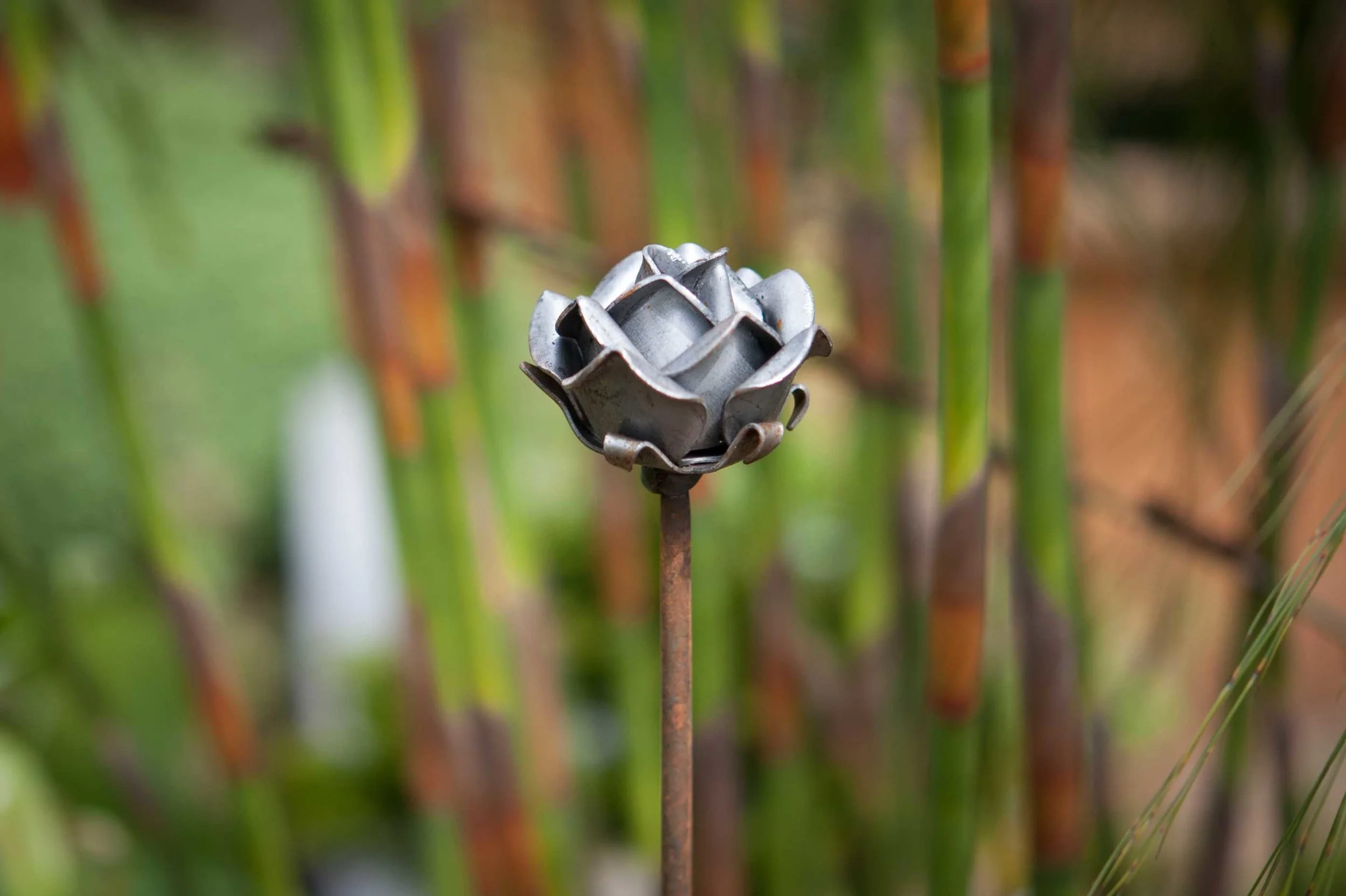 Shield Stake For Roses Rose — Mr Fox's Garden-Decorative Plant Supports/Stakes