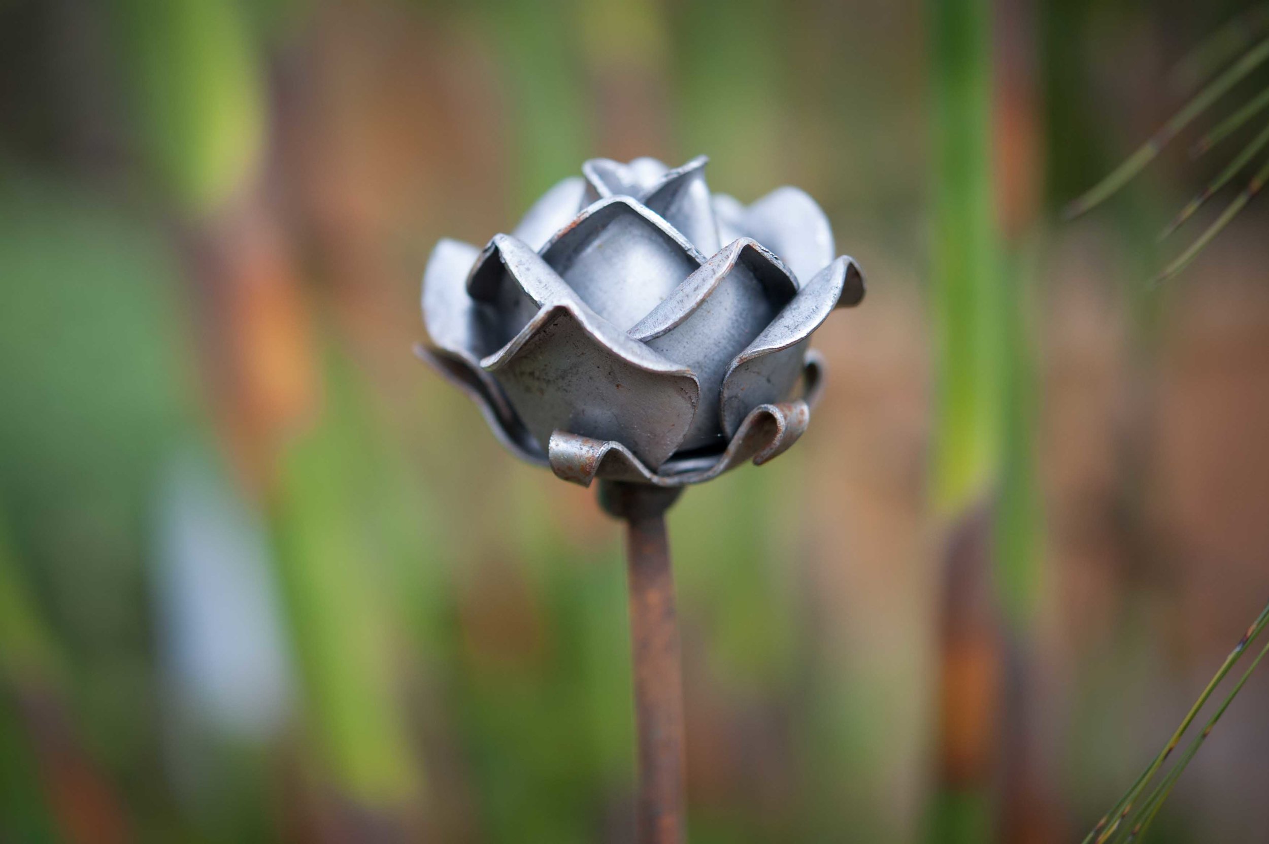 Rose — Mr Fox's Garden-Decorative Plant Supports/Stakes
