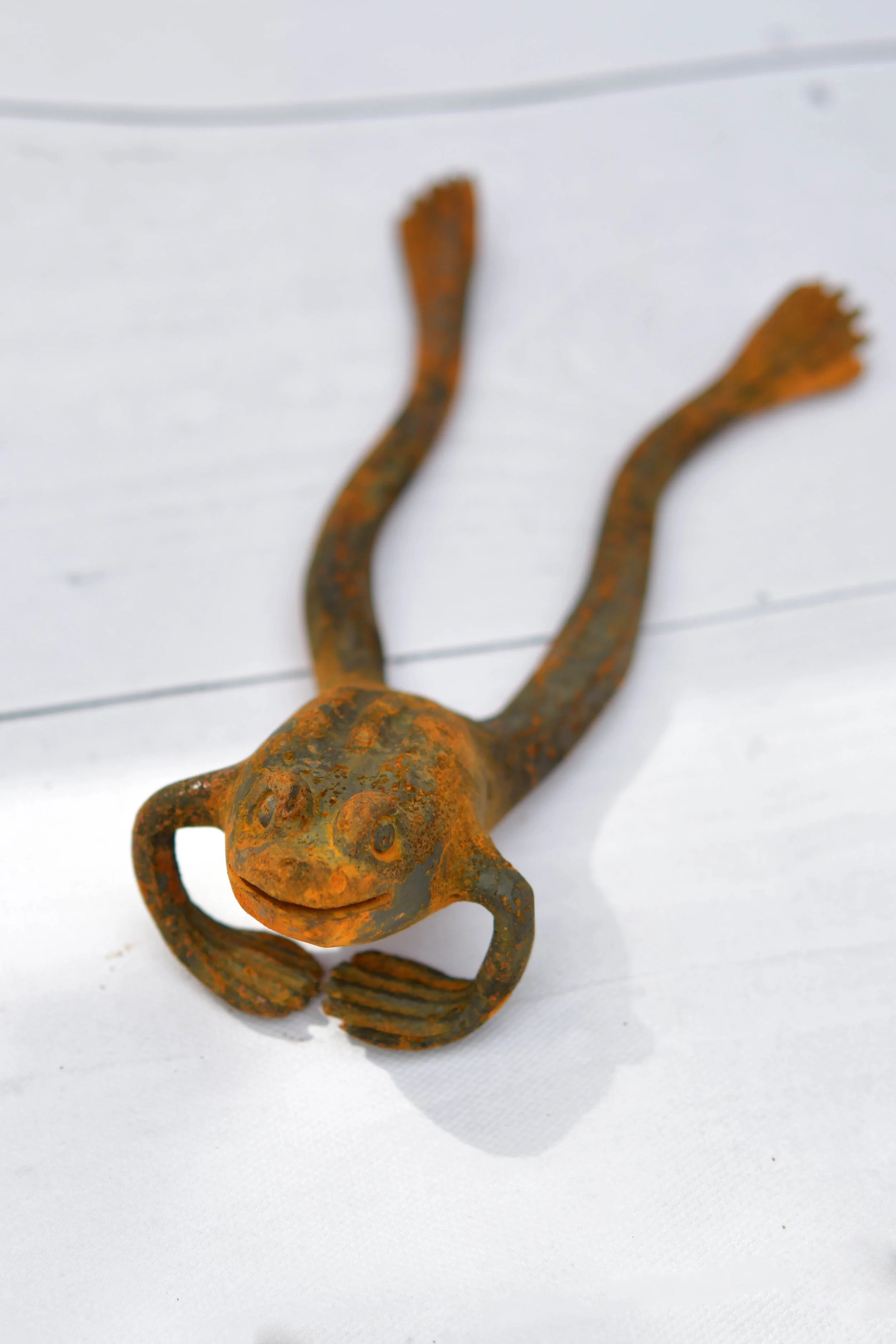 Leaping Frog