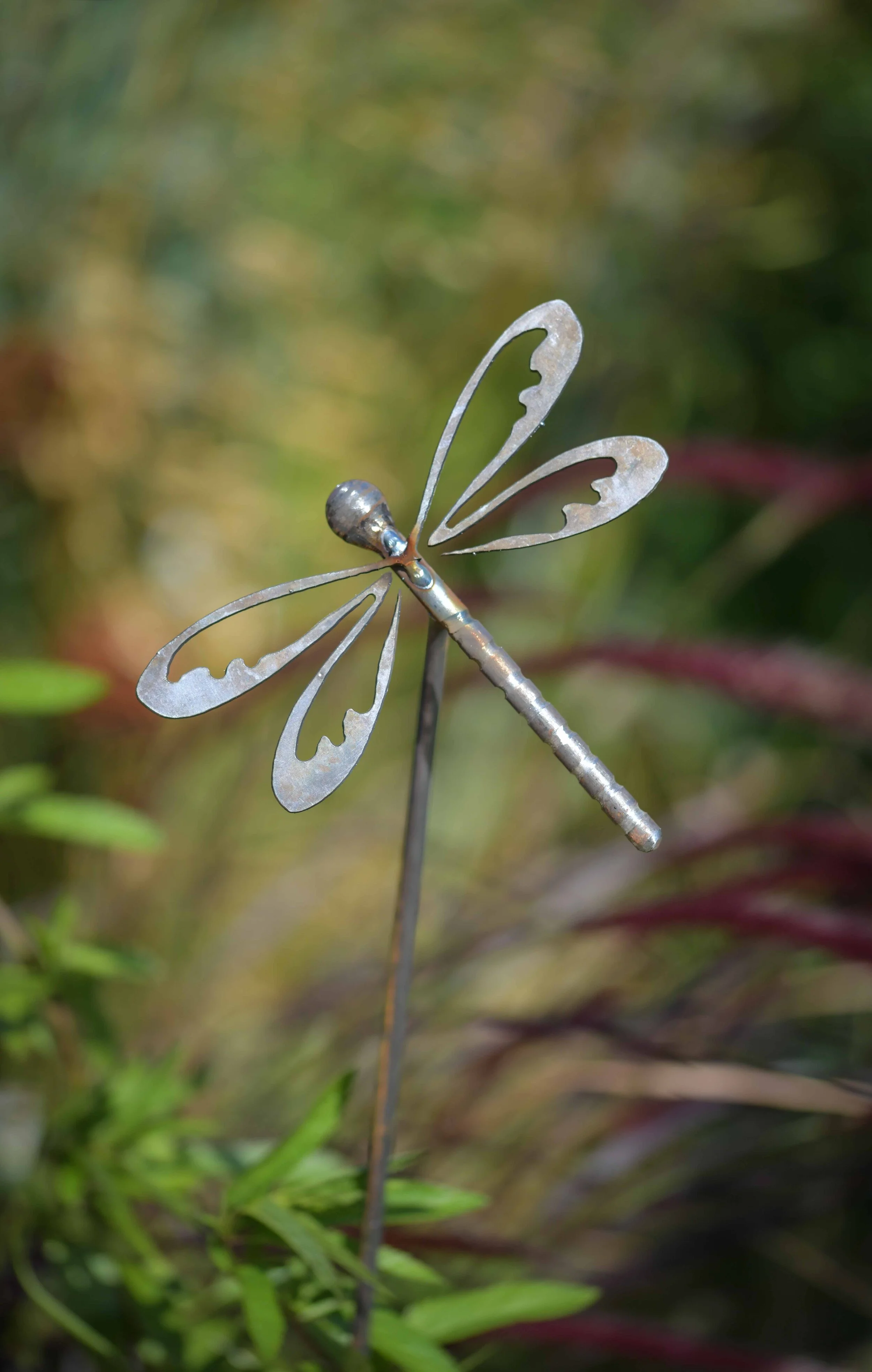 dragonfly-2.jpg