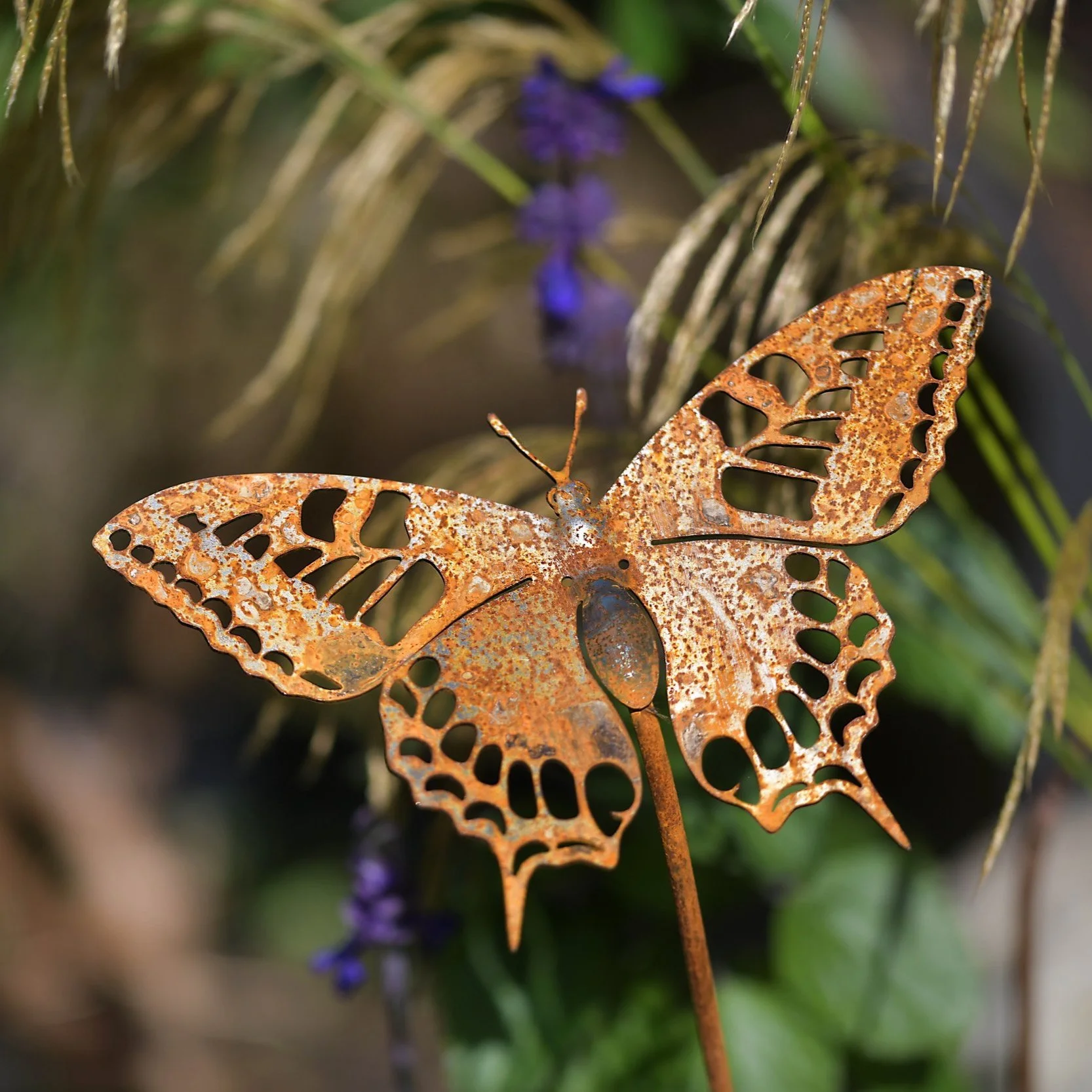 British Butterflies - Swallowtail