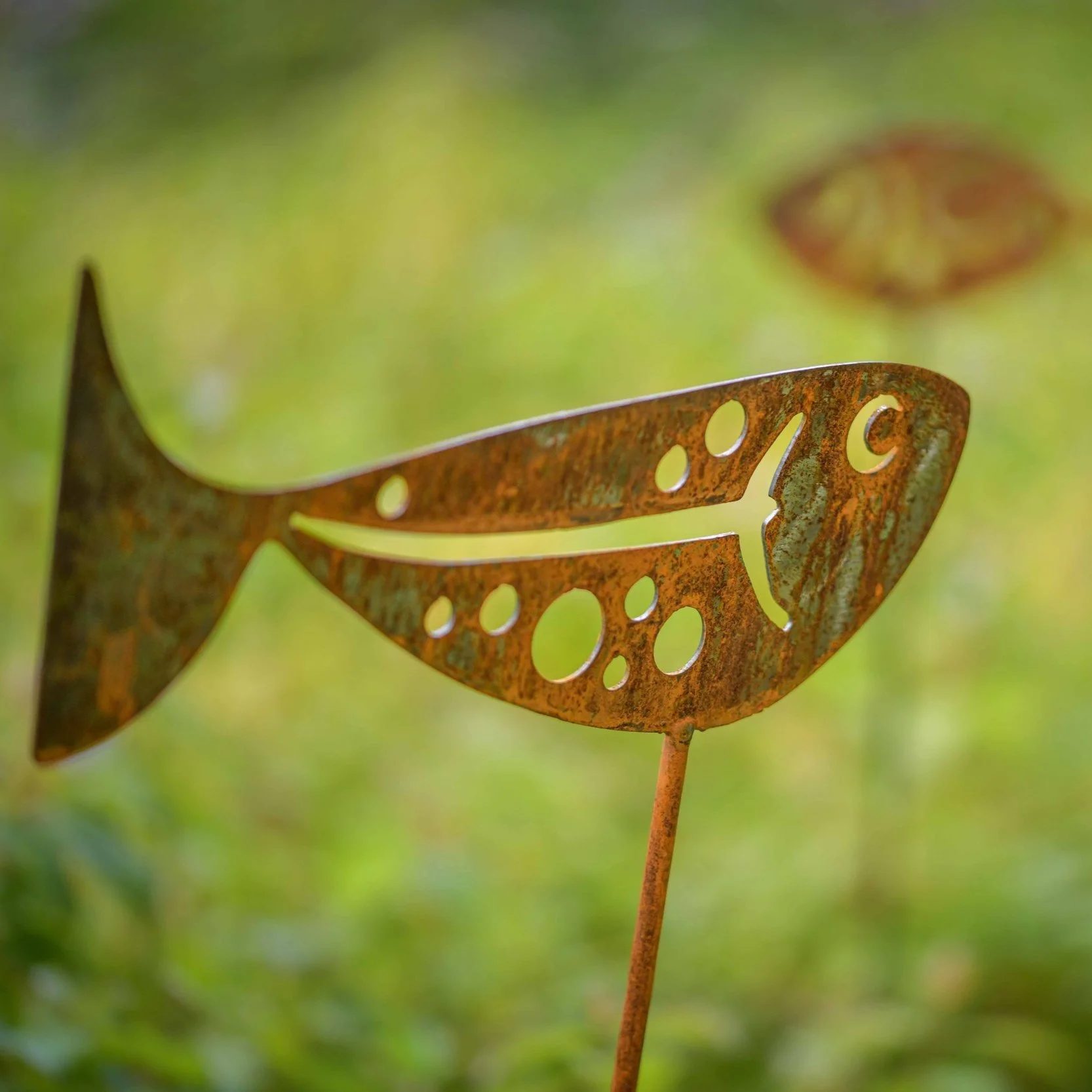 Fish 1