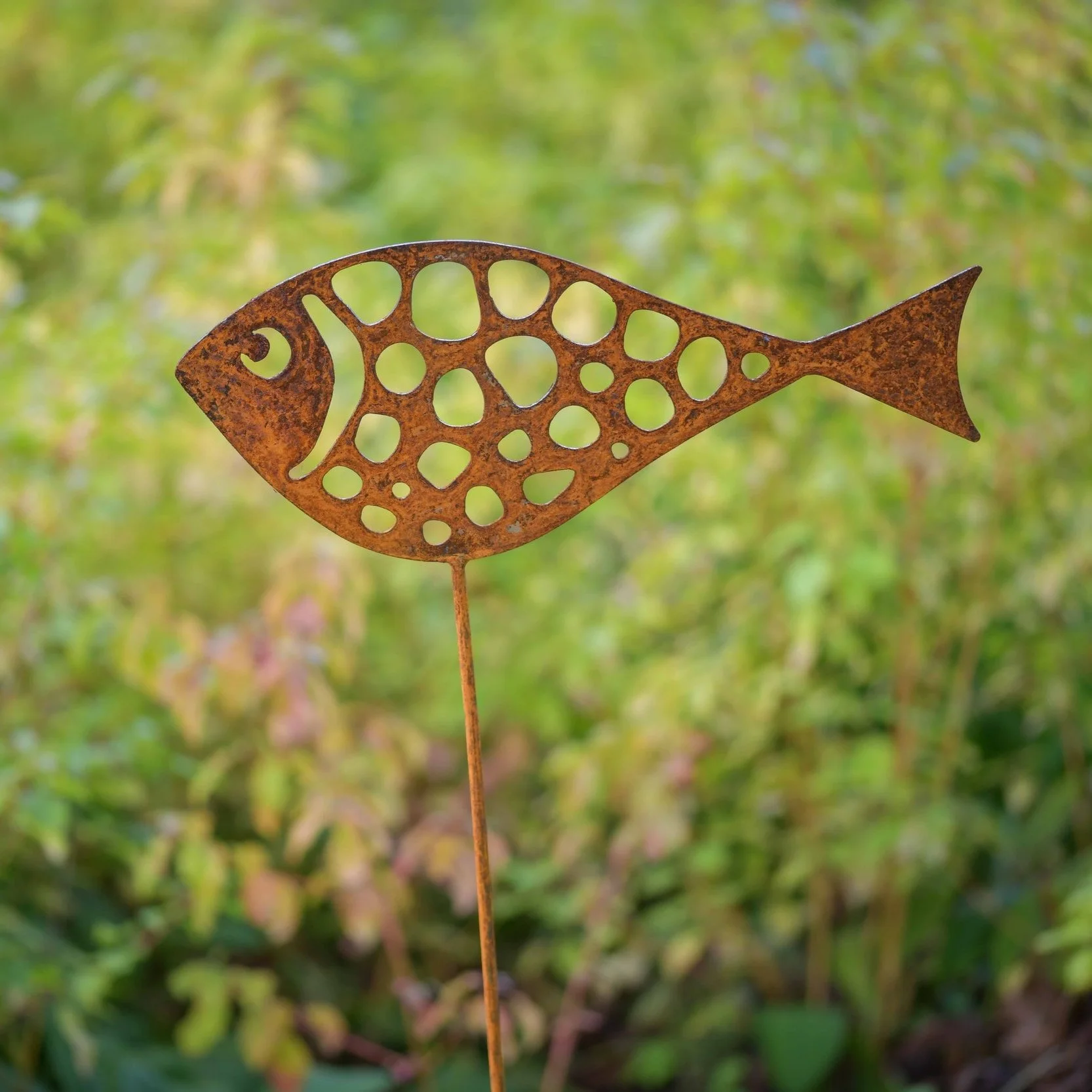 Fish 4