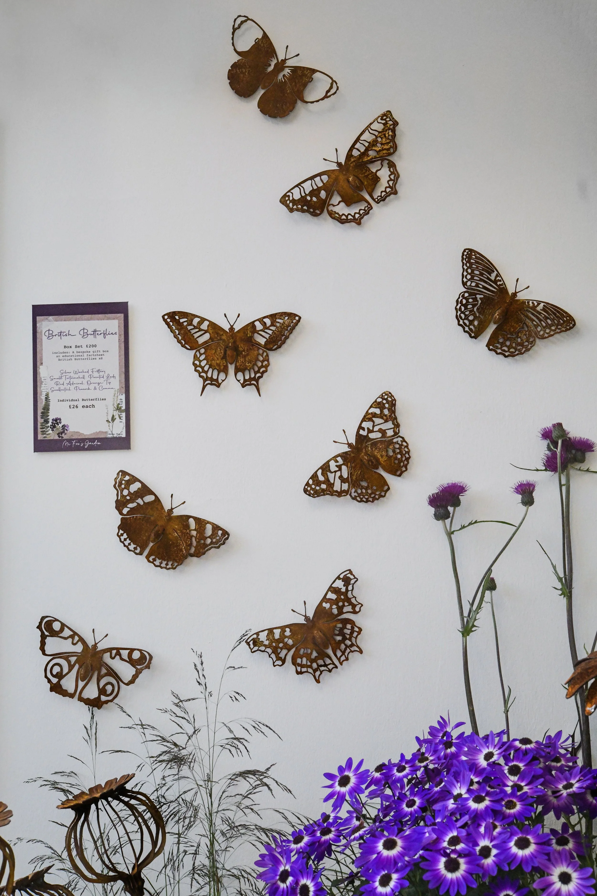 NEW - Eight British Butterflies - Chelsea Box Set