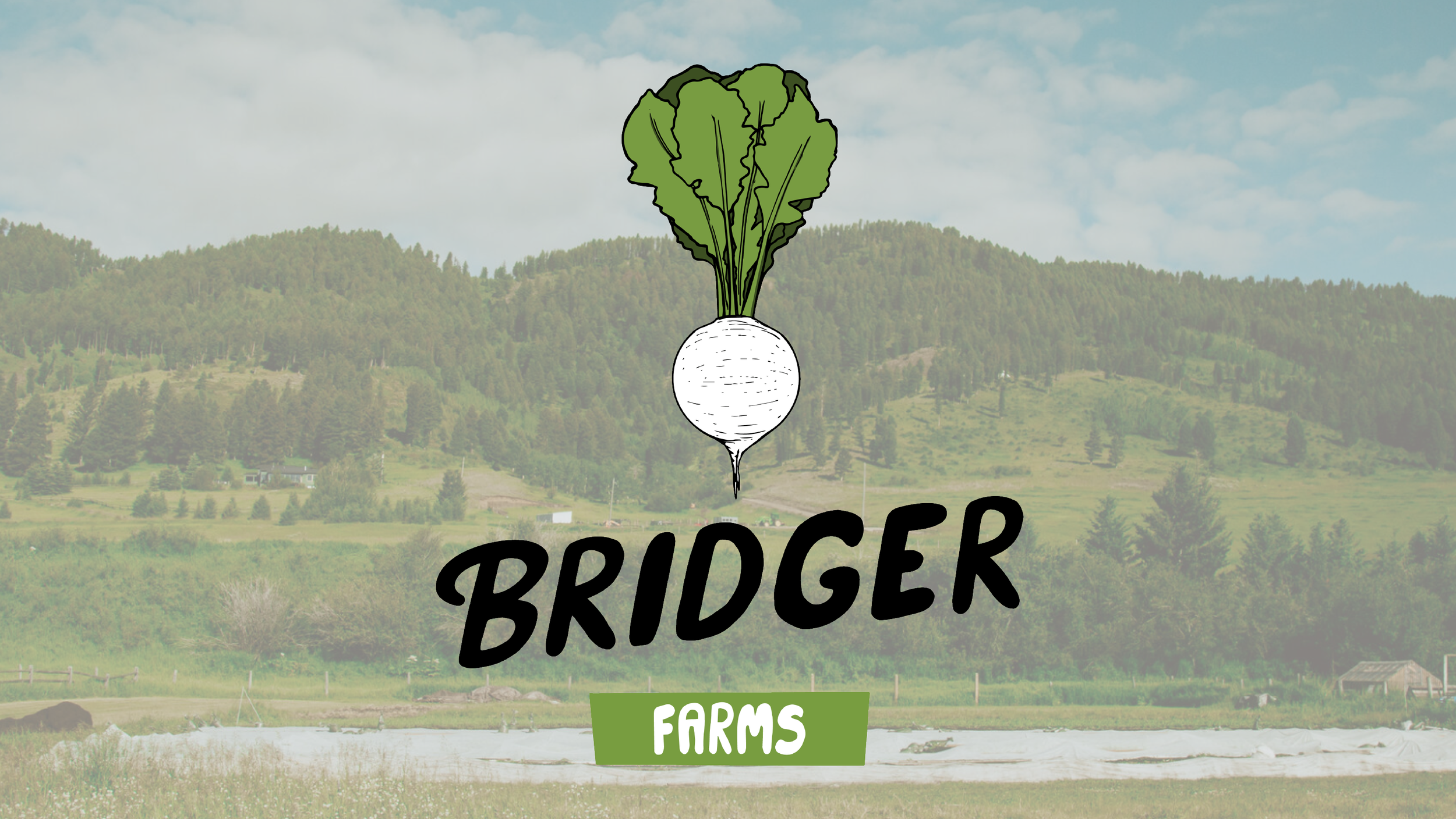 bridger farms BLOG front-01.png