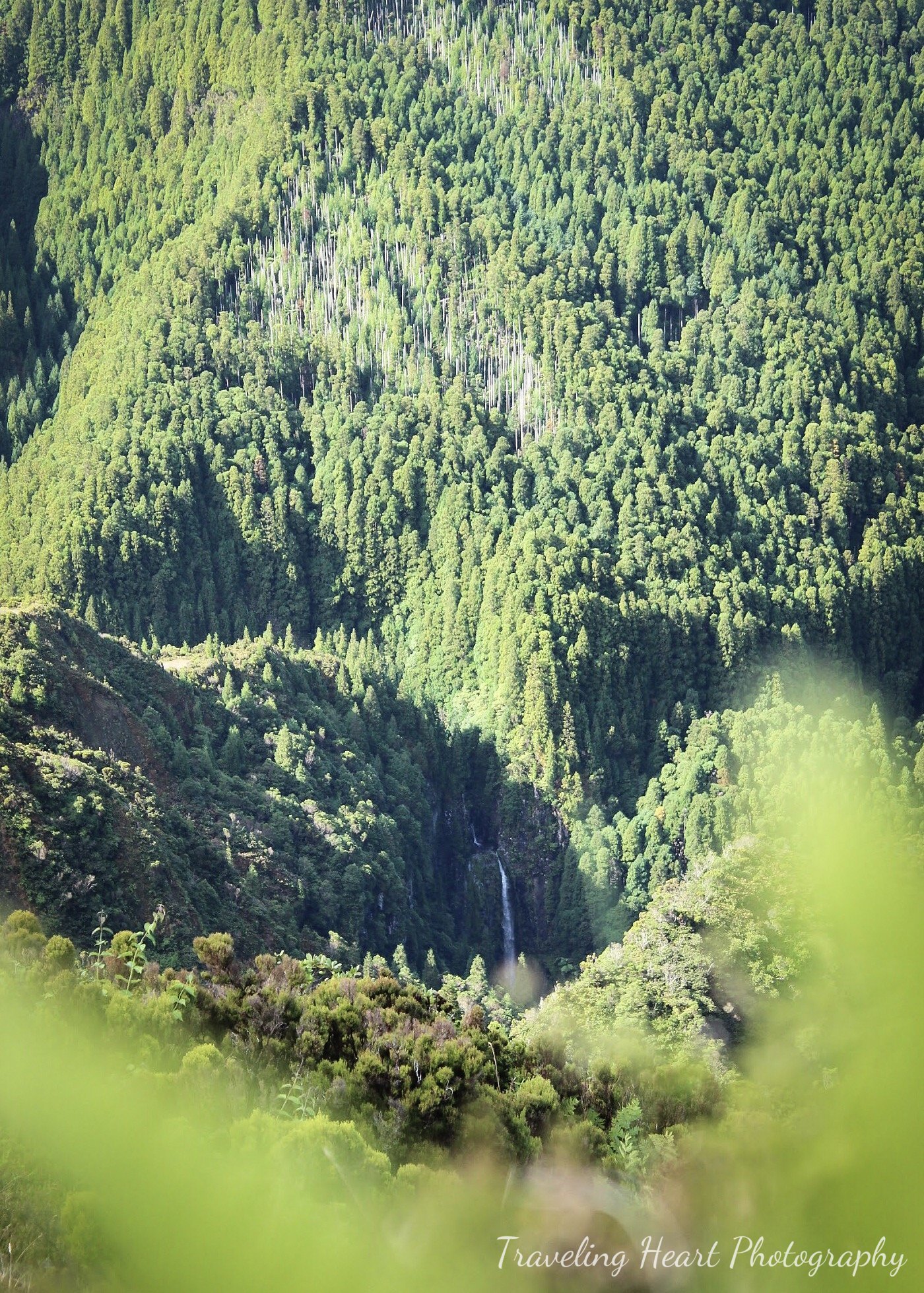HiddenWaterfalls5x7.jpg