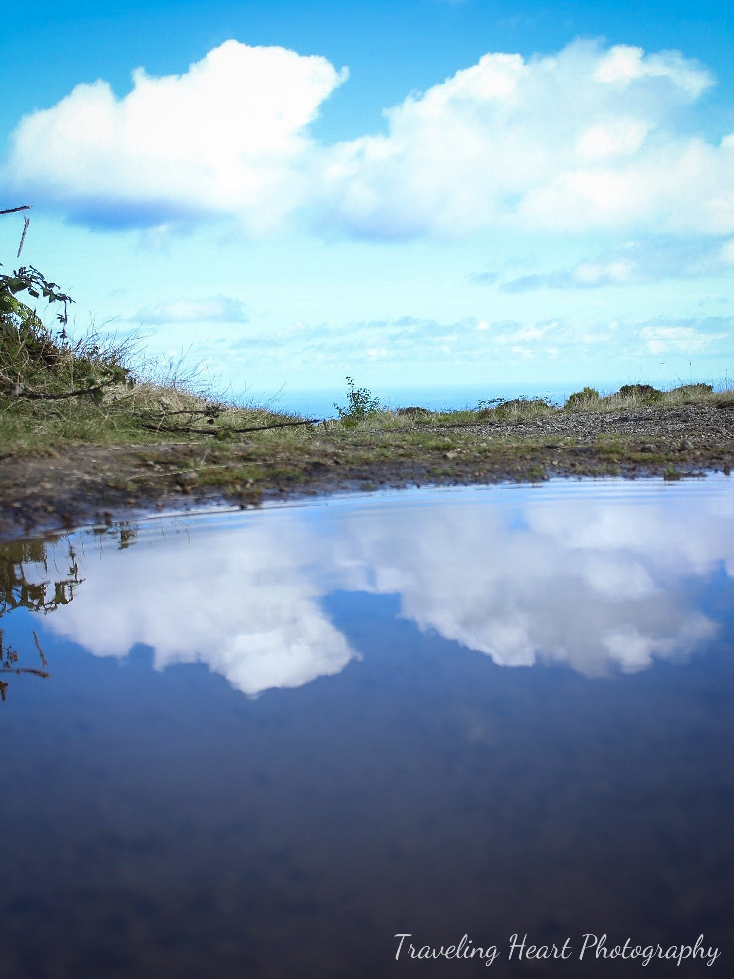 Reflected3x4.jpg