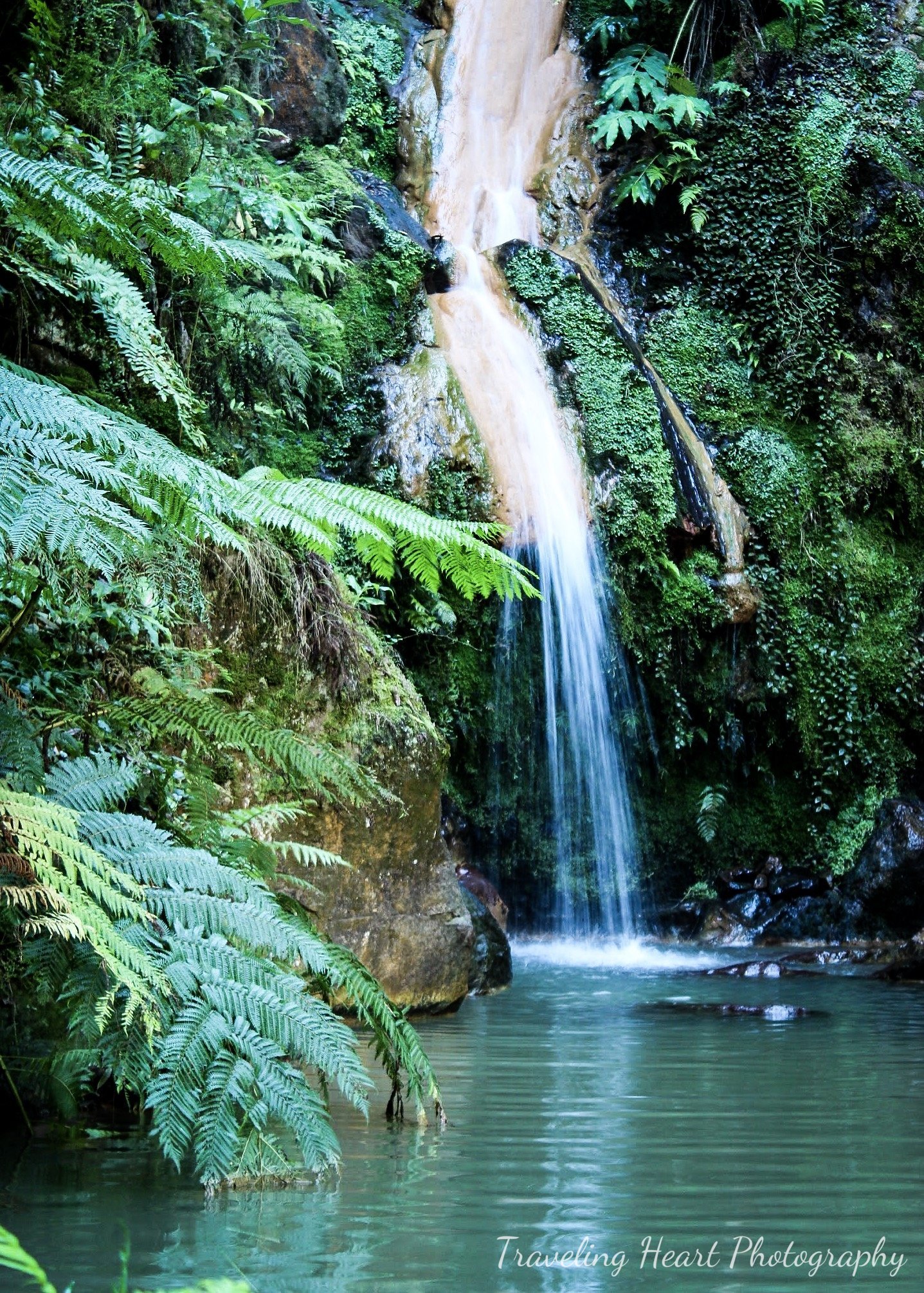 TheHotSprings5x7.jpg
