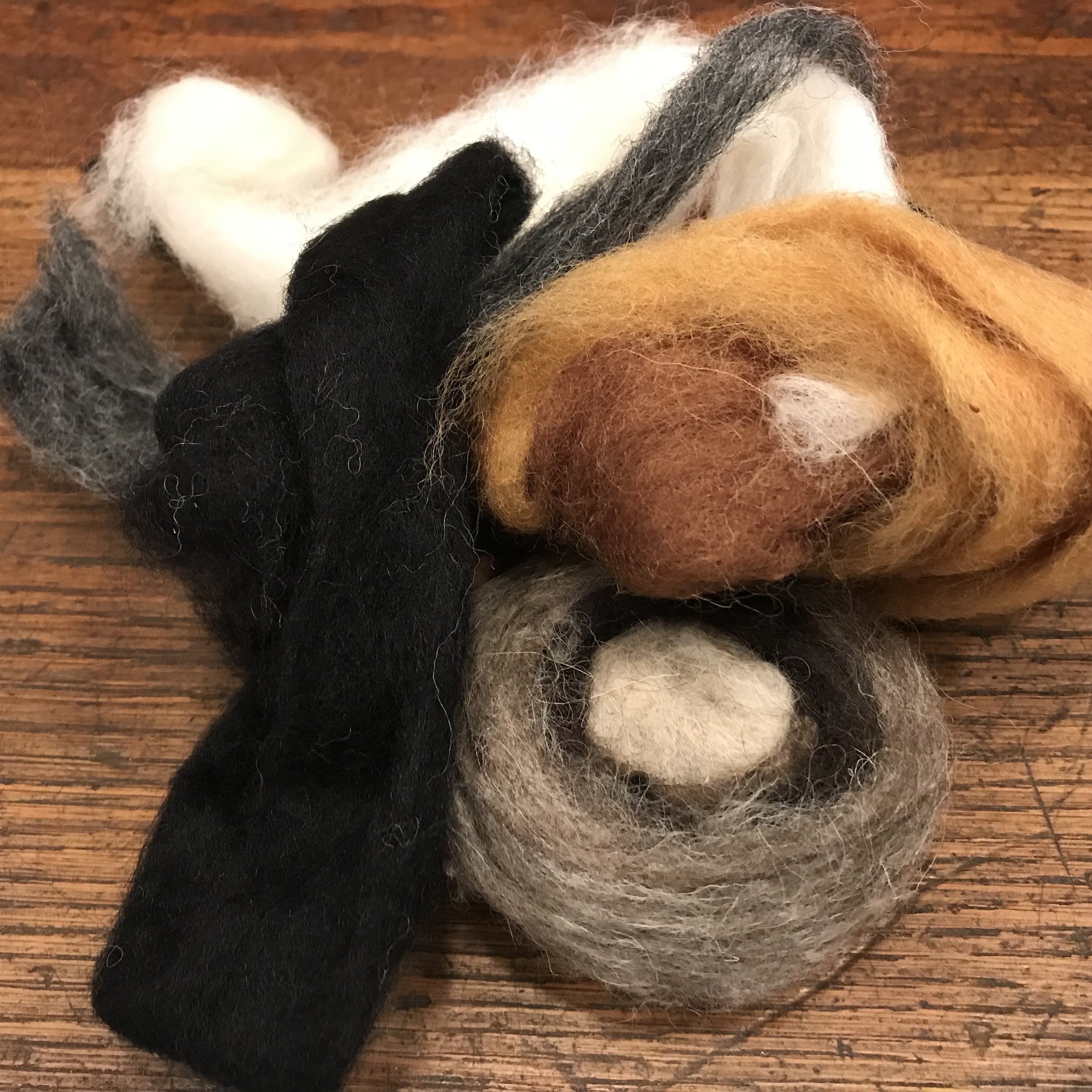 wool roving.jpeg