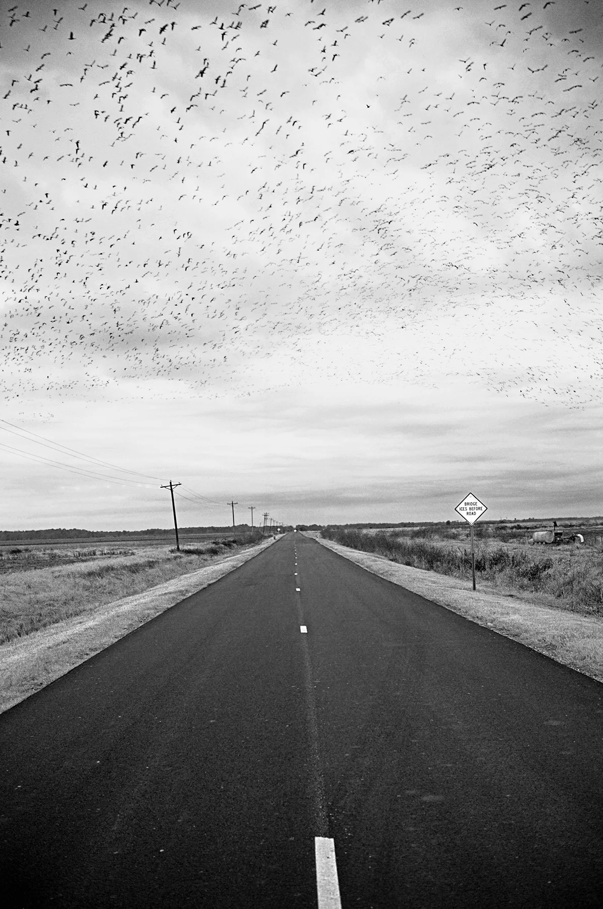 000269970007 highlights infrared small.jpg