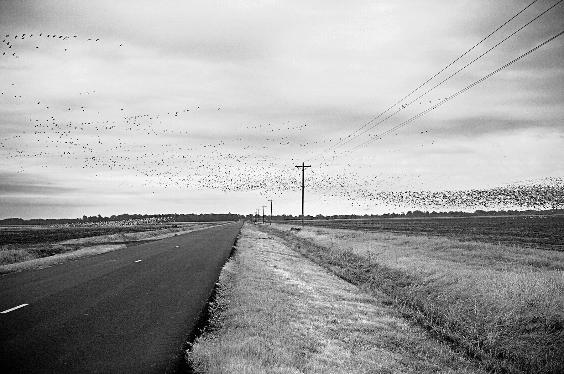 000269970012 Highlights infrared small.jpg