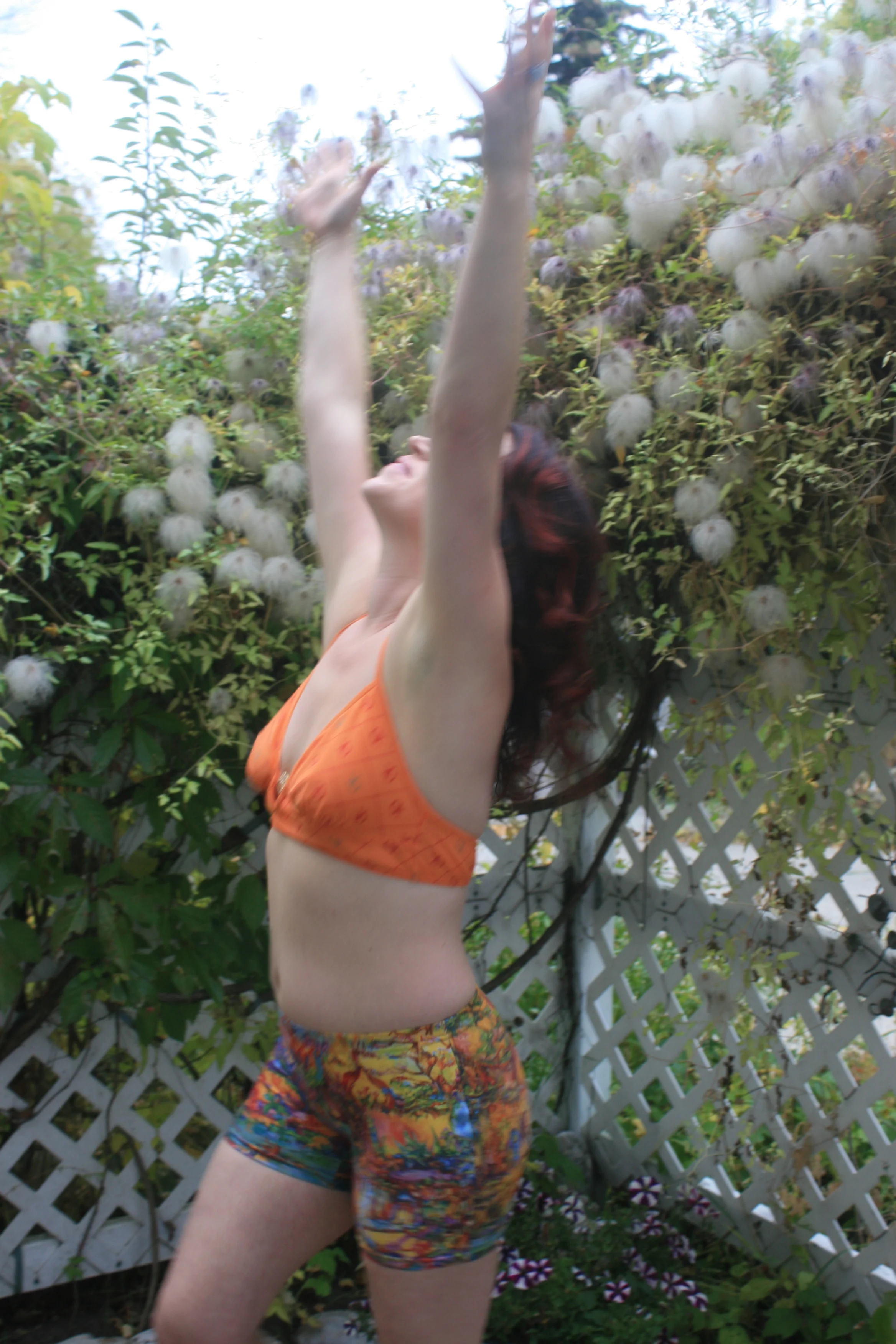 Faerie Shorts