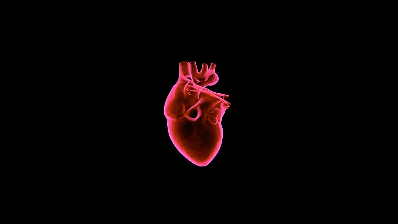 Credit image Unsplash