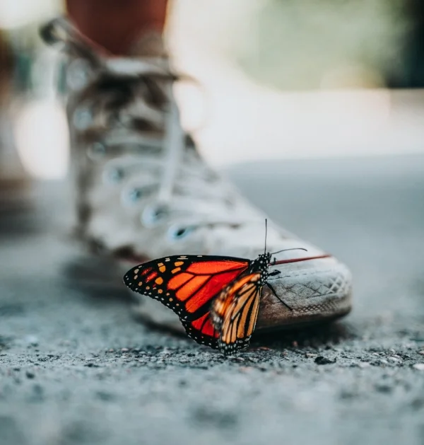 Photo by Nathan Dumlao on Unsplash