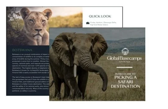 Choosing a Safari Destination 