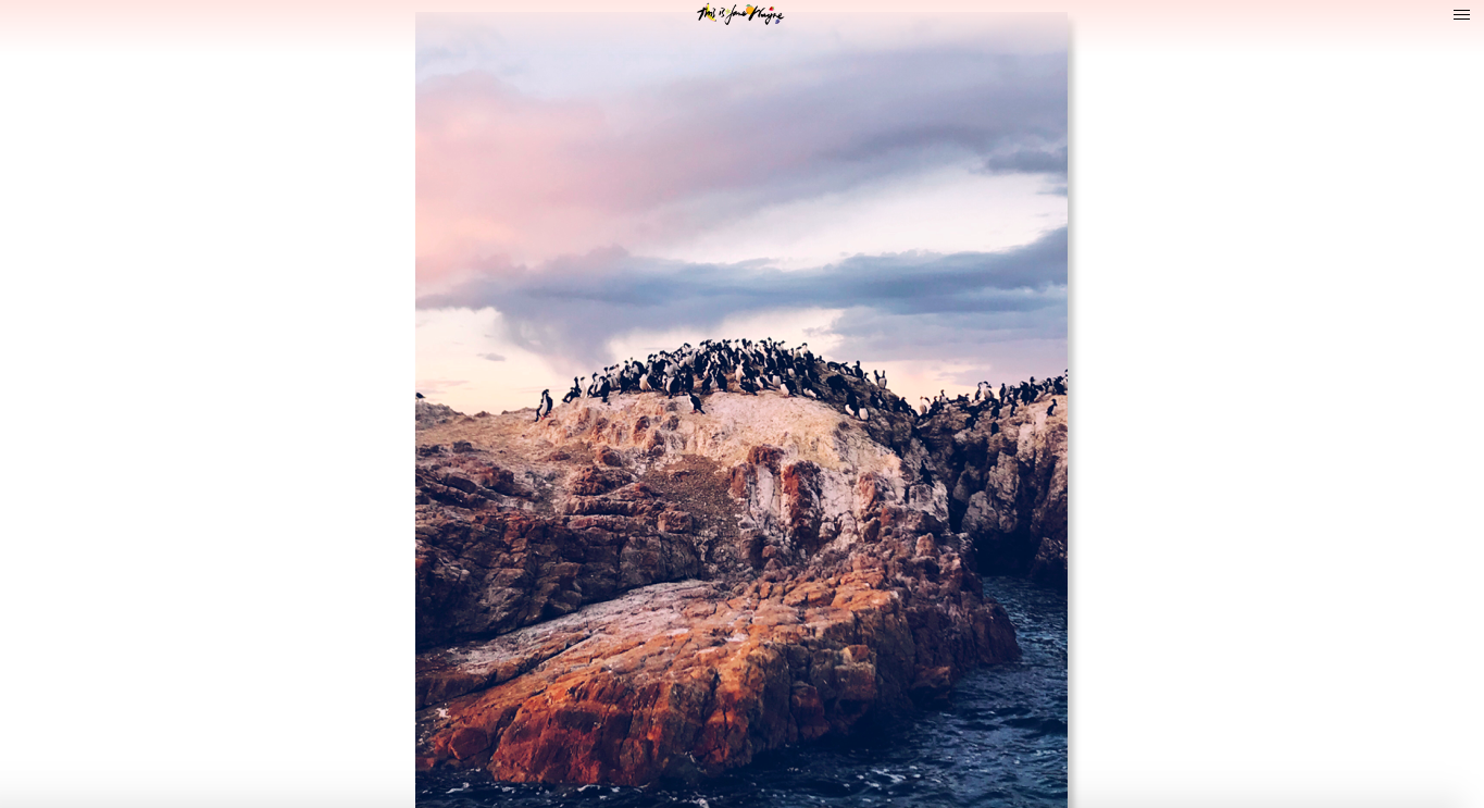 Bildschirmfoto 2017-12-06 um 12.35.42.png