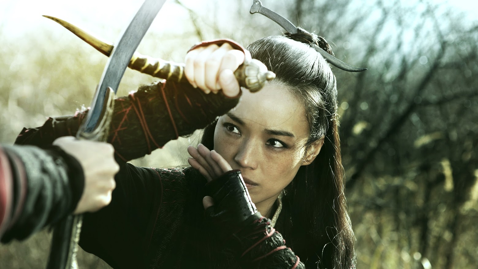 The-Assassin-2015__1.jpg