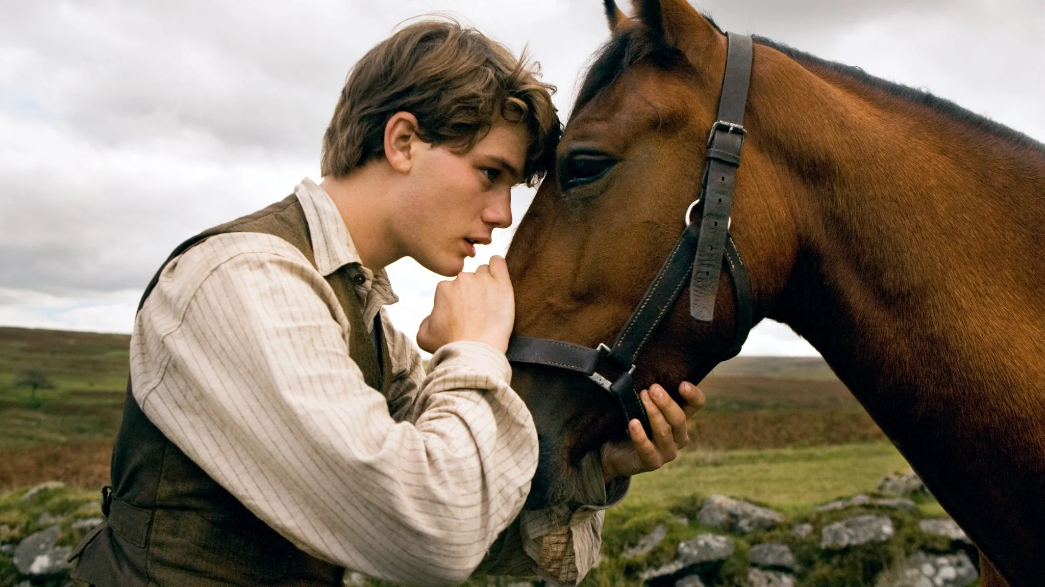 war-horse-whysoblu.com_.jpg