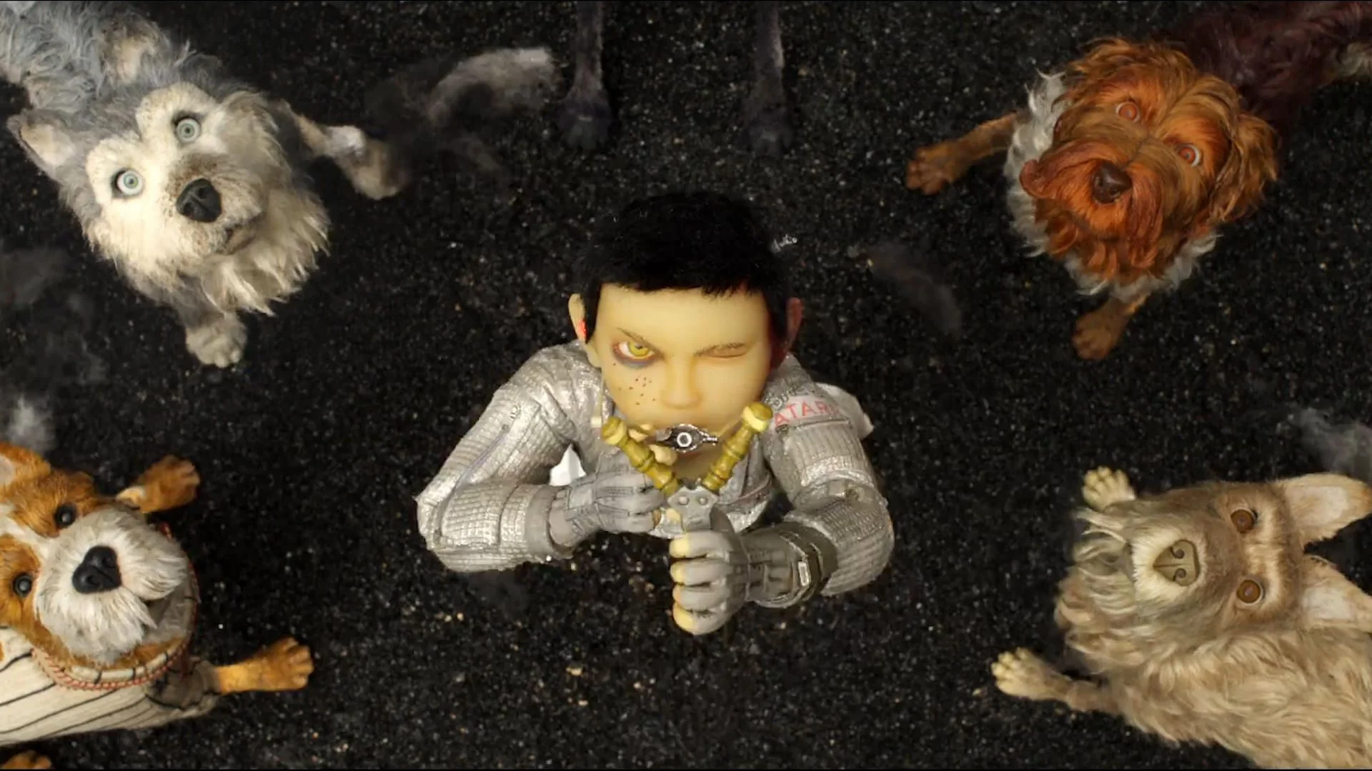 isle-of-dogs-image.jpg