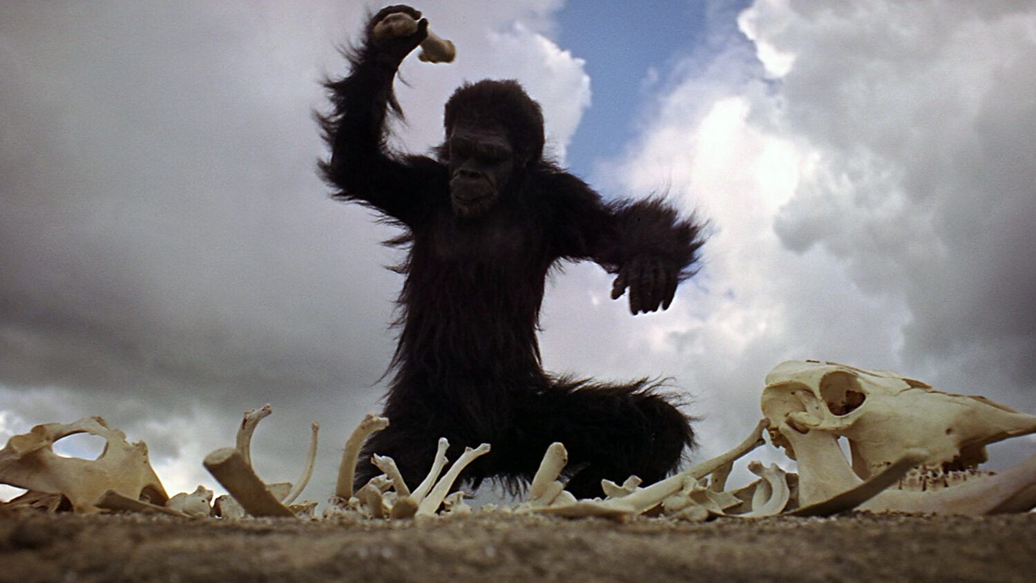 2001-A-Space-Odyssey-The-hominid-grabs-a-large-bone-and-begins-pounding-the-ground-and-other-bones-around-him.jpg