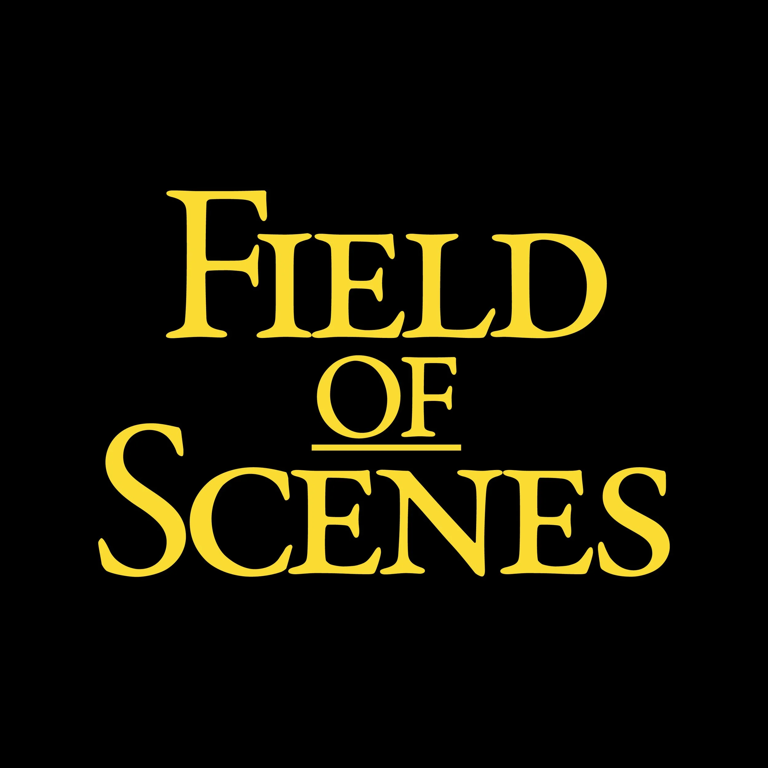 Field of Scenes