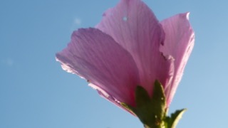 L1000777 (1).jpeg