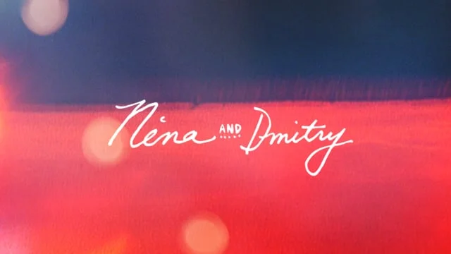 Nina &amp; Dmitry, Miami, FL