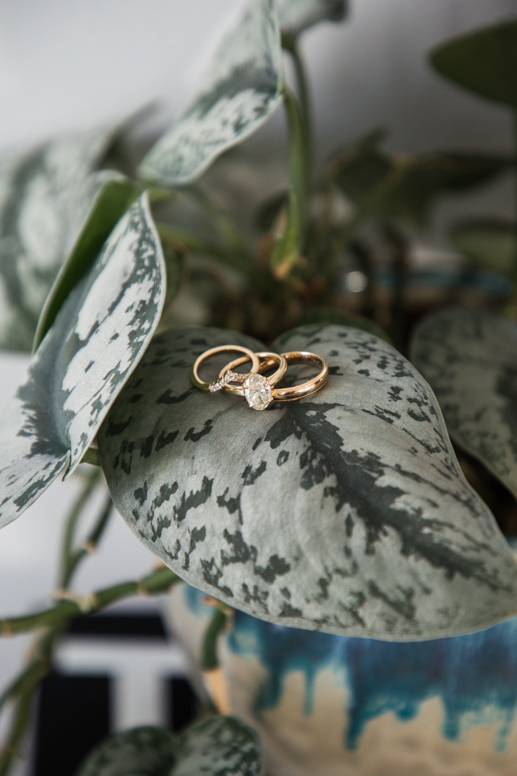 MMWeddings-1.jpg