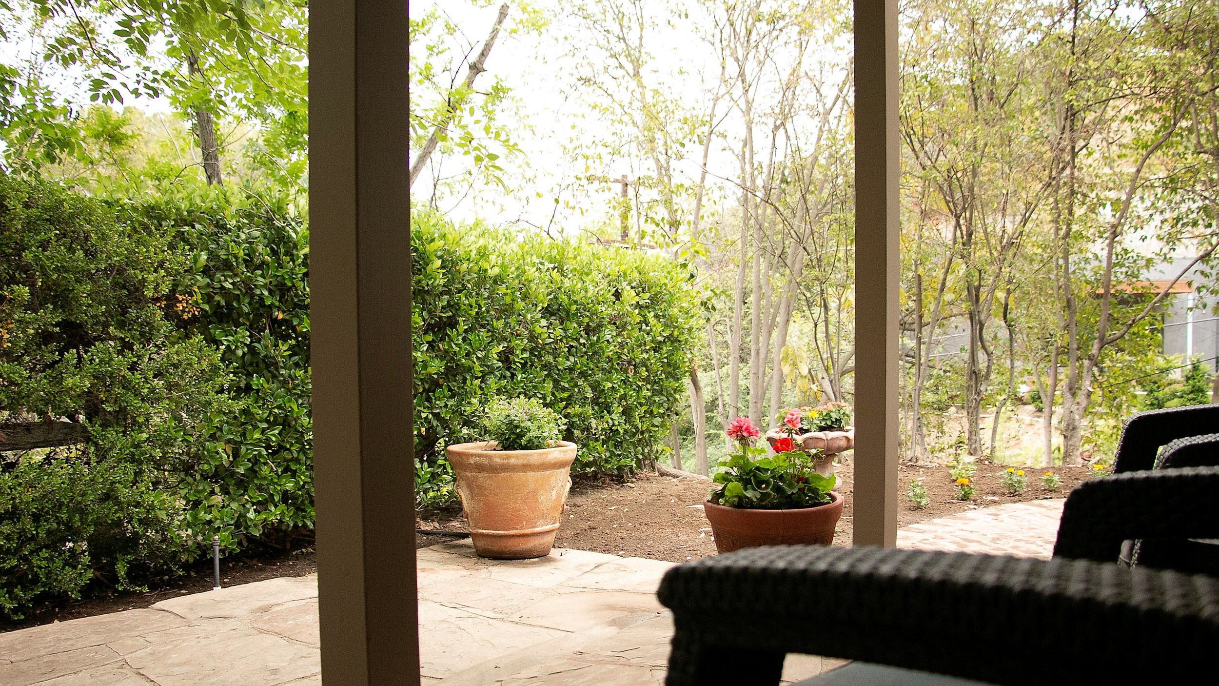 View From Porch.jpg