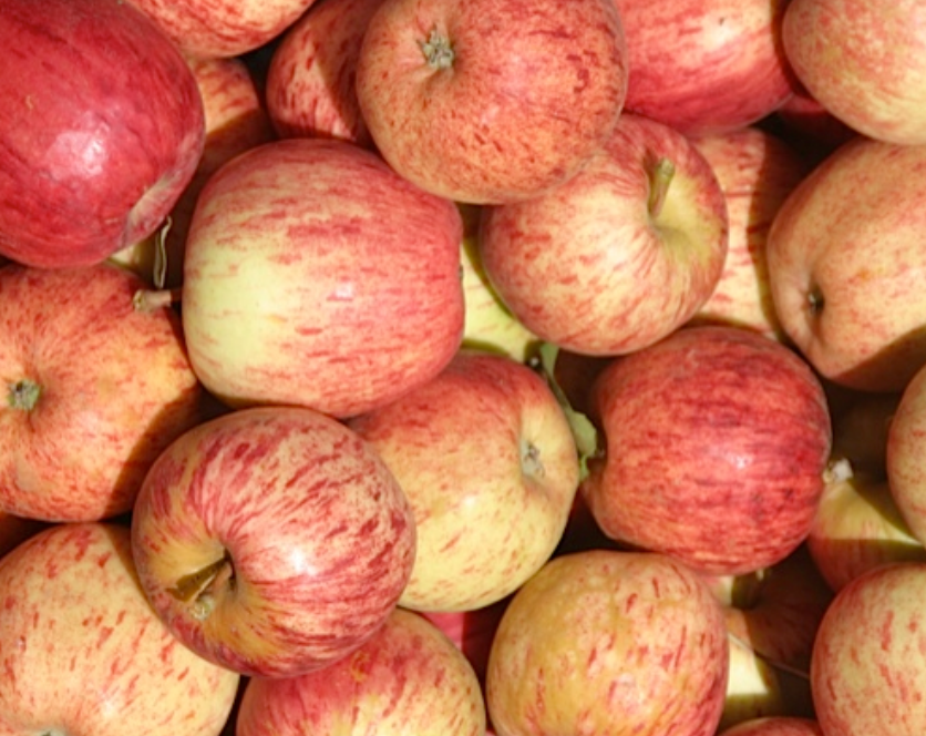 Honeycrisp Apples - Organic Honeycrisp Apples - Washington Fruit