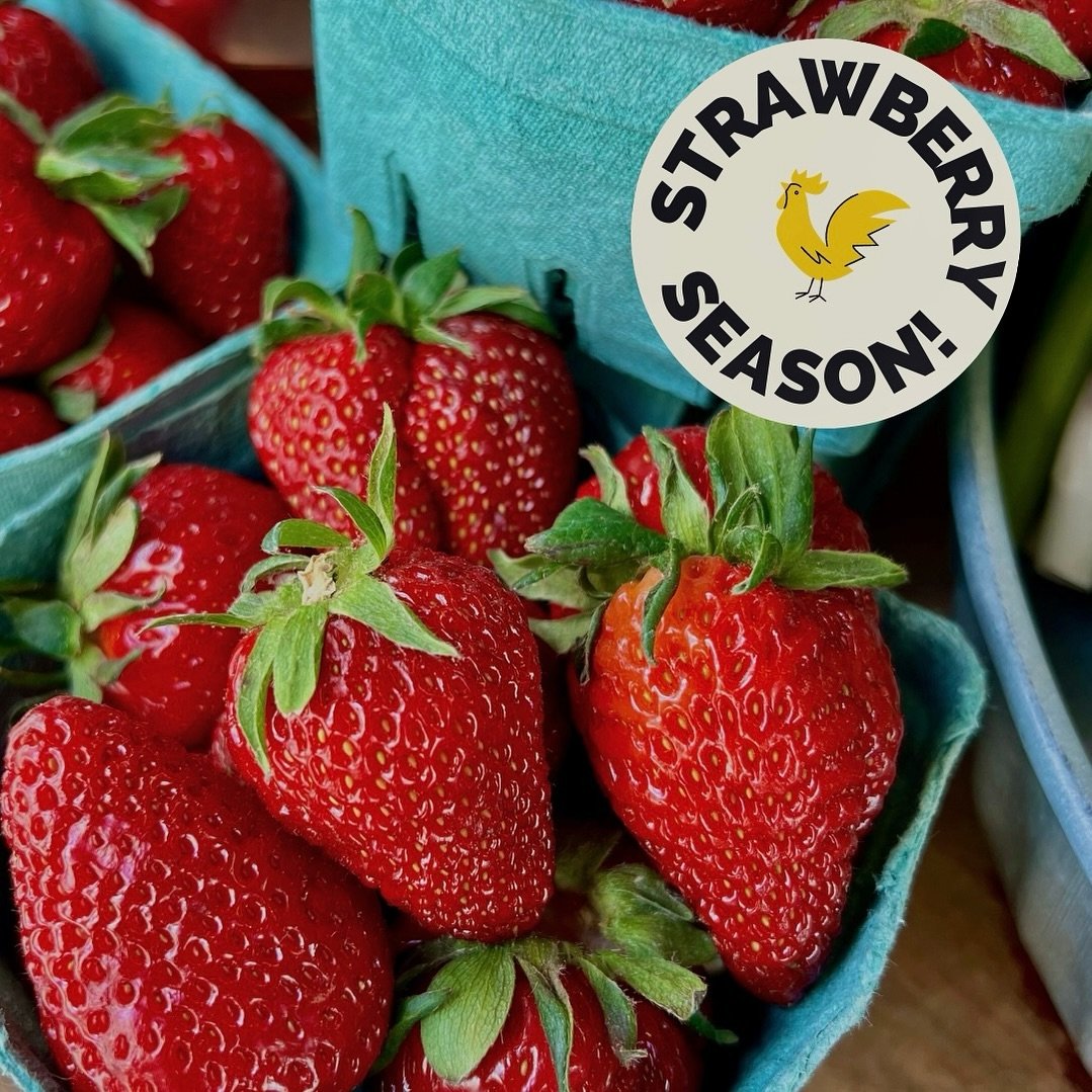 Local strawberries have arrived &amp; are going FAST! Don&rsquo;t miss out on a summer staple as we head into warmer weather 😎🍓
Available in-store and online at www.etcproduce.com!

#fresh #local #organic #localfood #localbusiness #smallbusiness #f