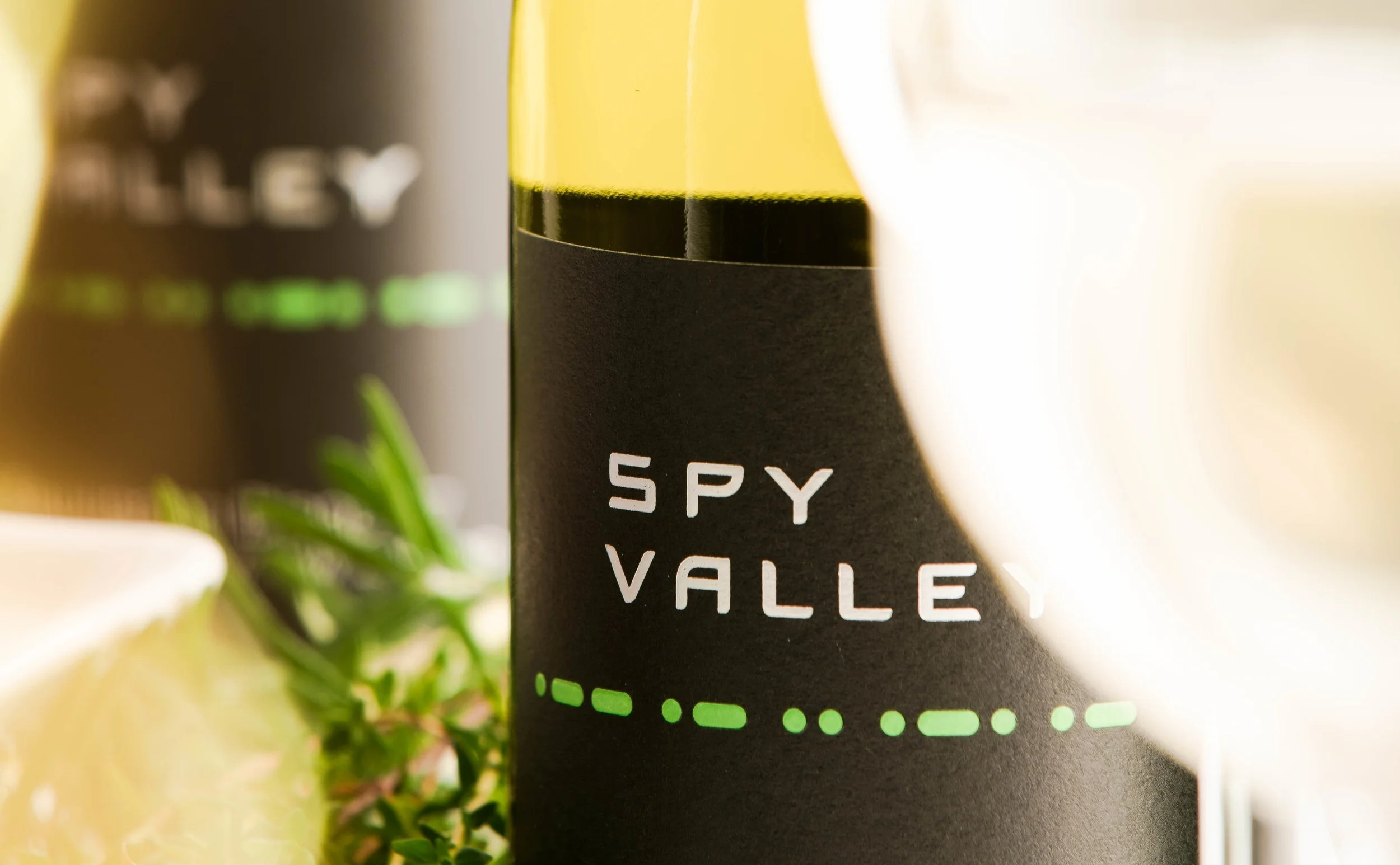 Spy Valley 