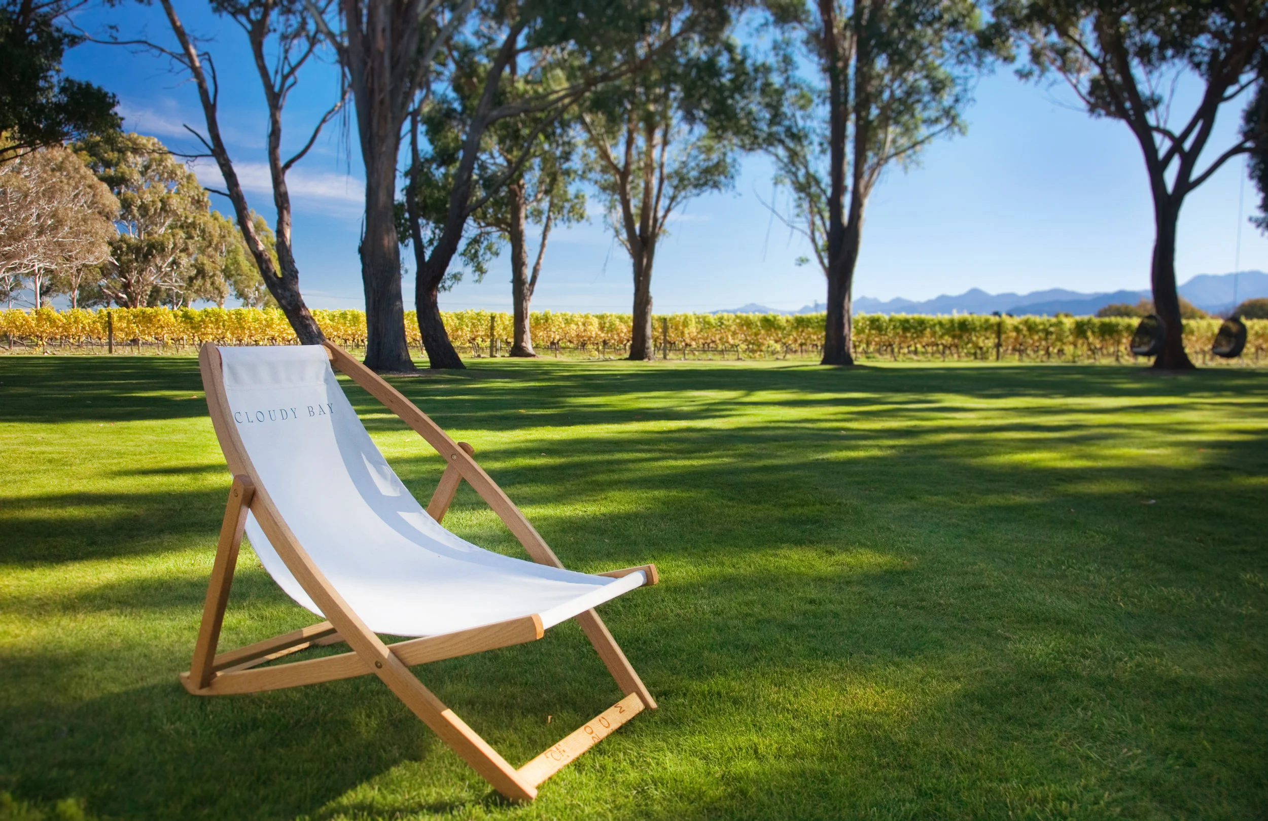 Cloudy Bay Cellar Door 