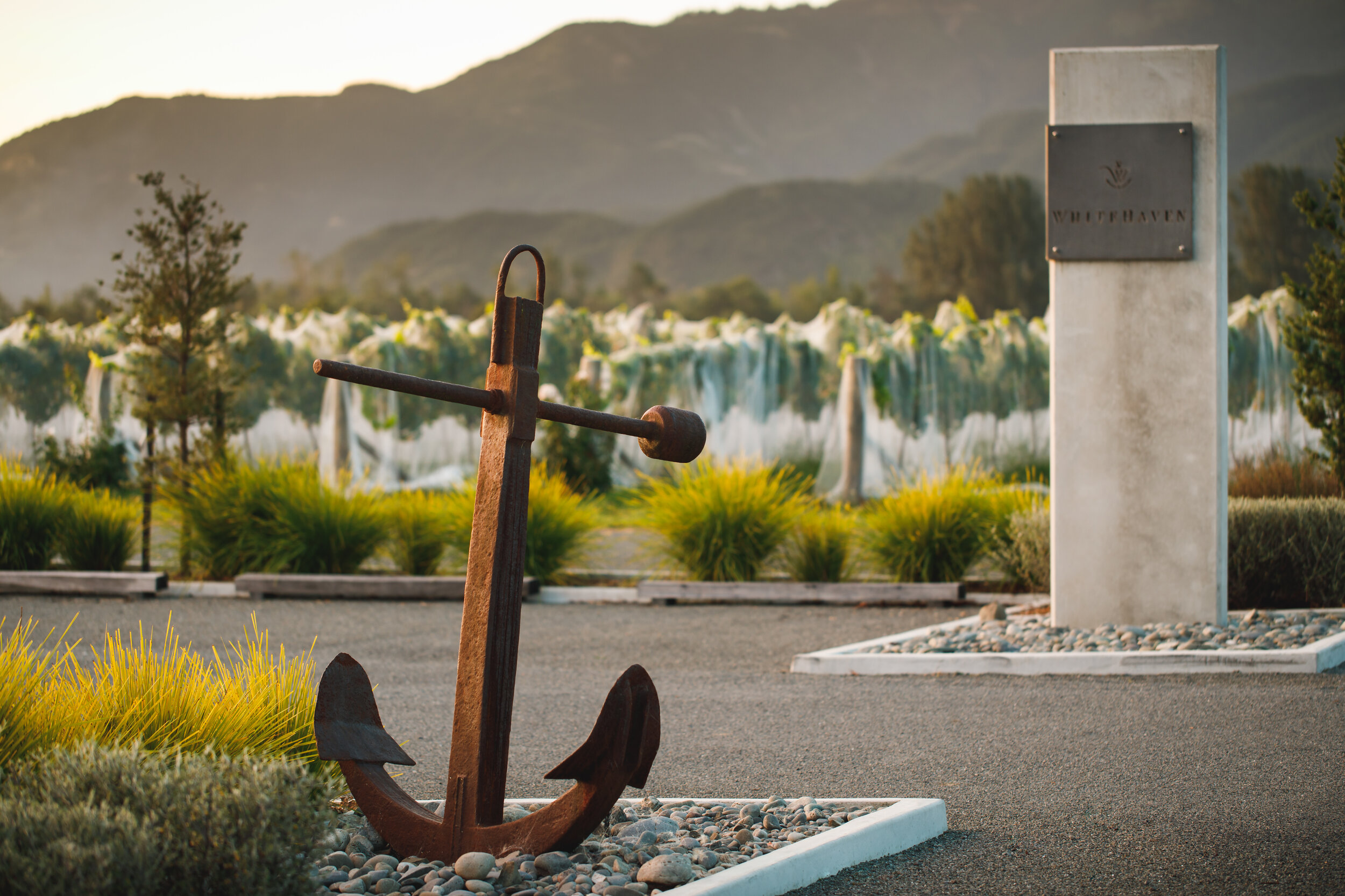 WHITEHAVEN ANCHOR.jpg